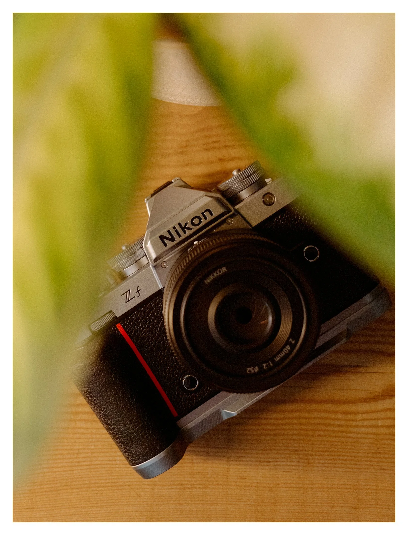 Nikon Zf - One Month Later