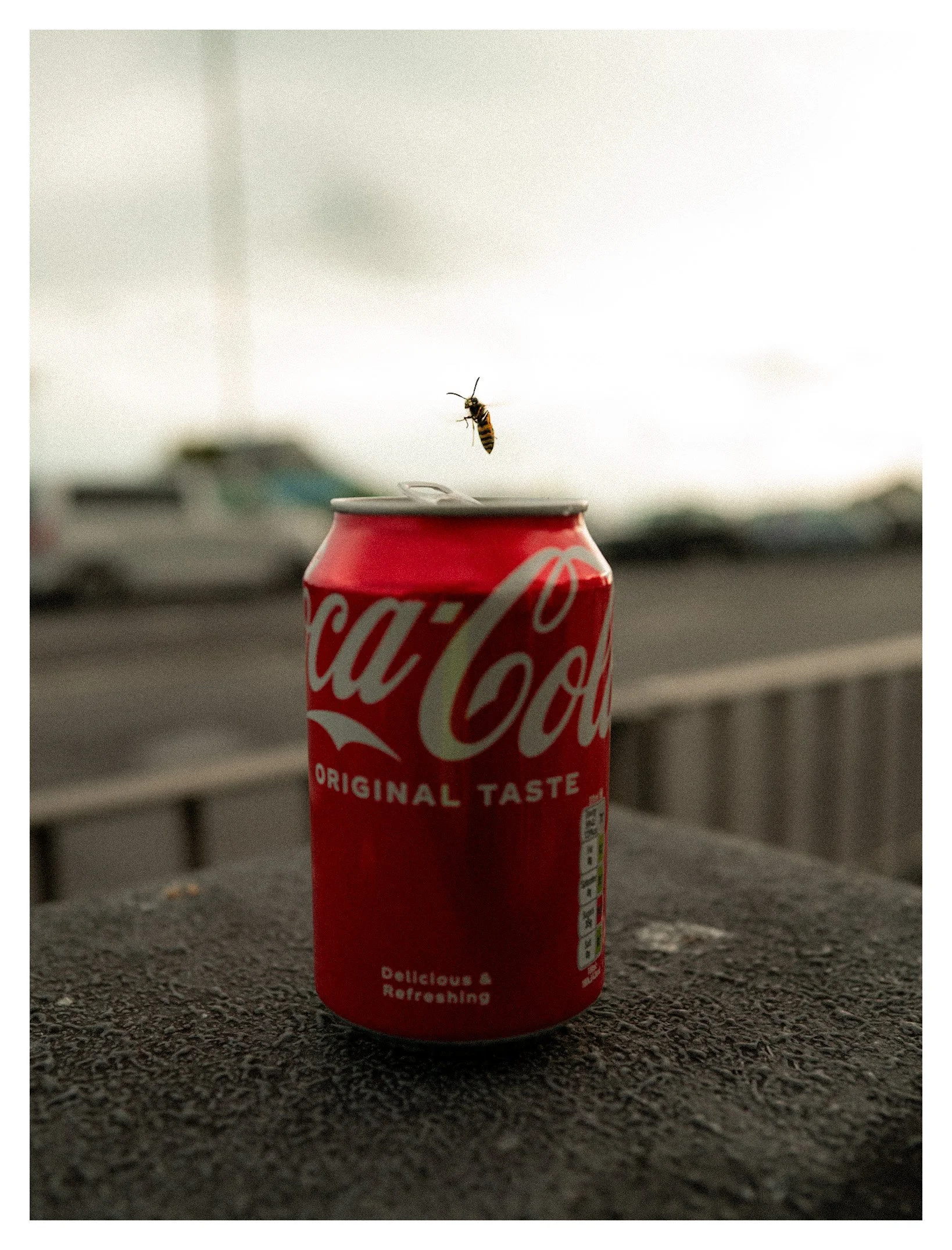 A red Coca-Cola can with a bee hovering above it on an outdoor surface with a blurred background.