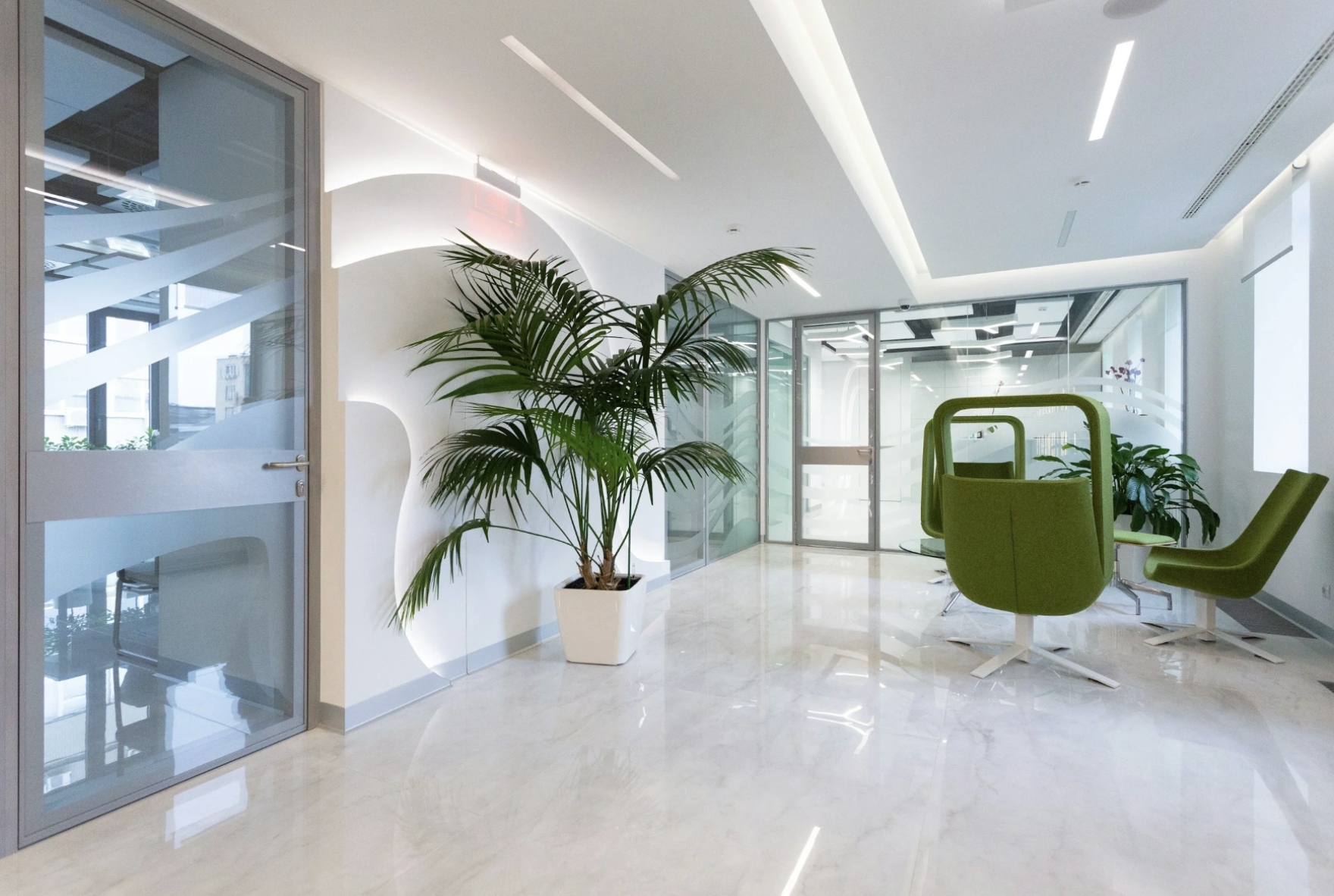 Modern office space with green chairs around a table, large potted plant, and glass walls.
