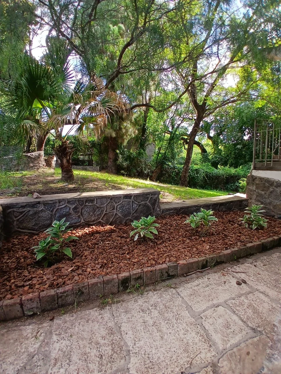 Jardín con árboles, plantas verdes y sendero de piedra.