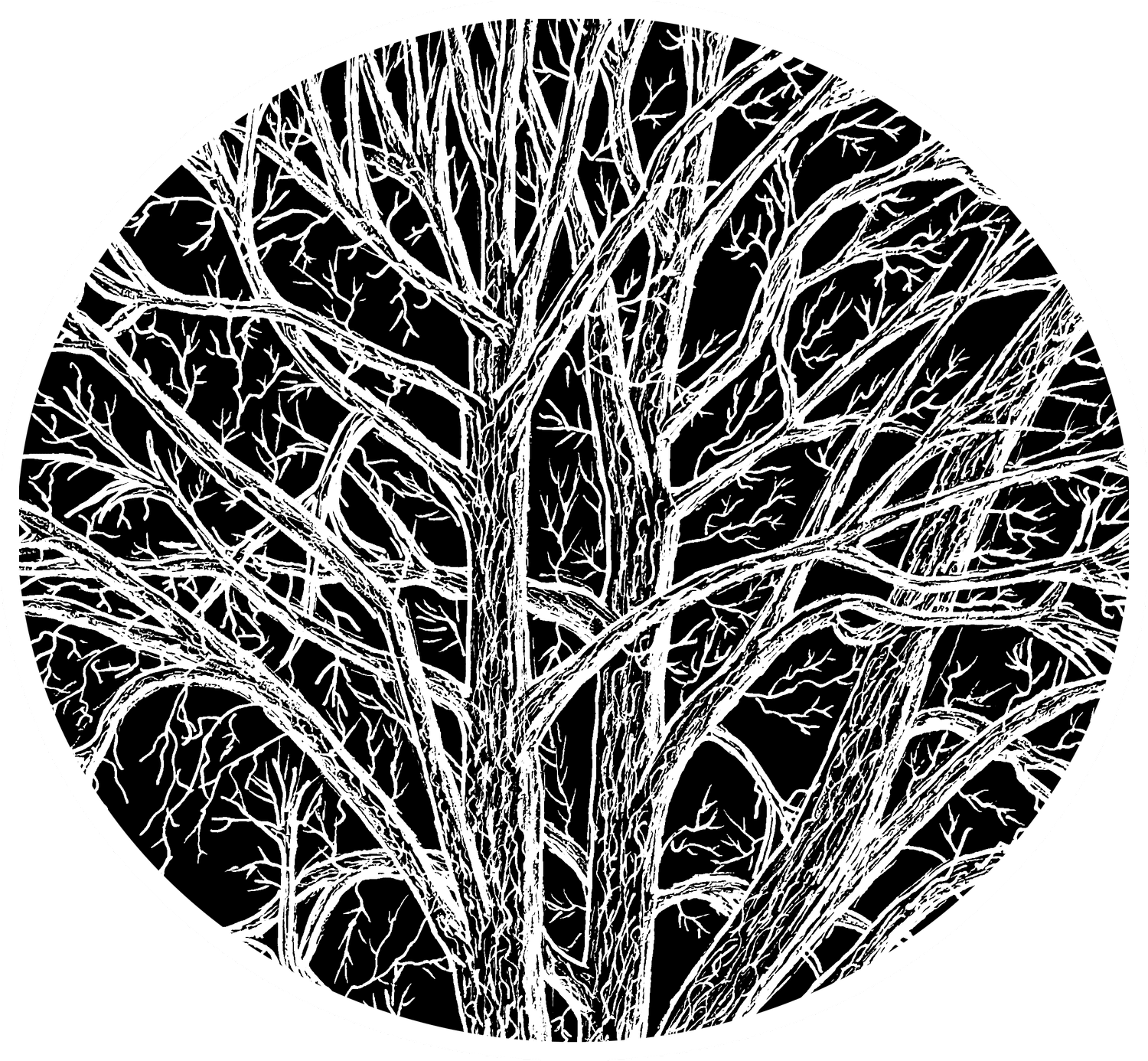 Linden Consulting LLC