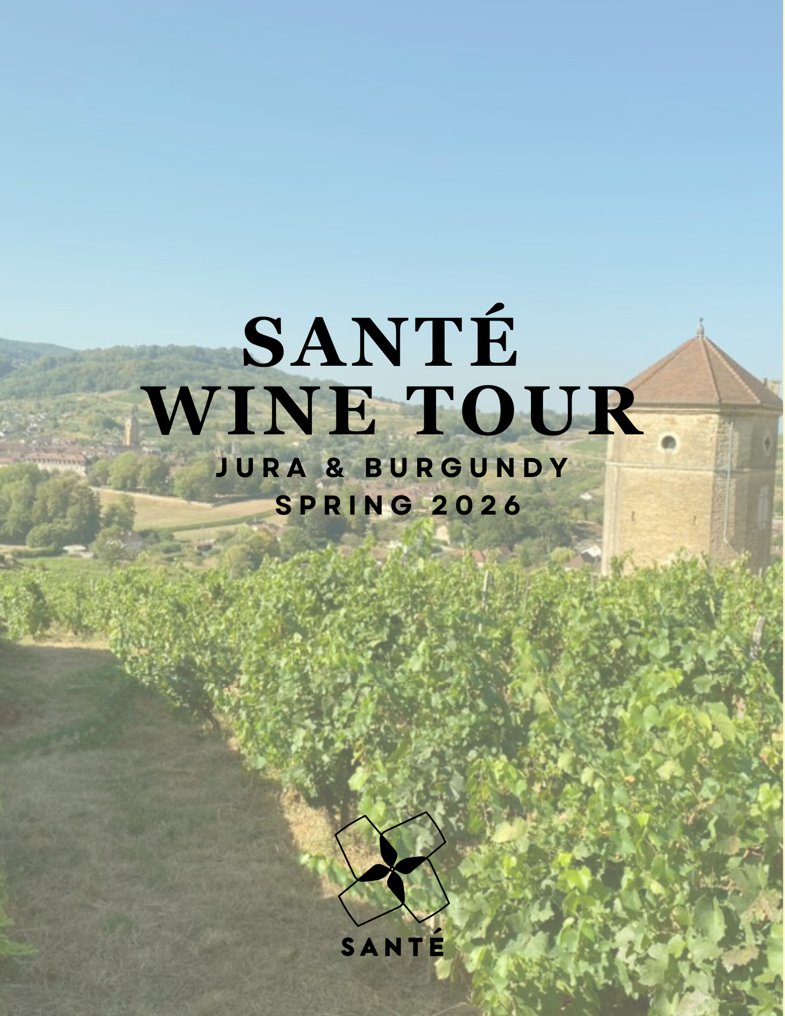 Santé France Wine Tour: Jura & Burgundy