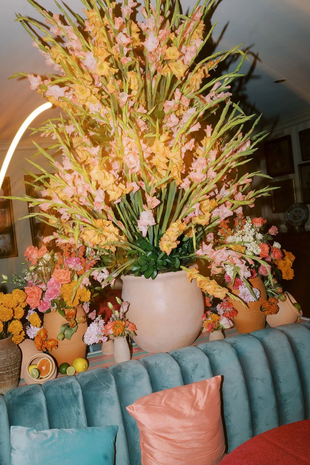 4F6A8789AllisonErmonPhotography.jpg