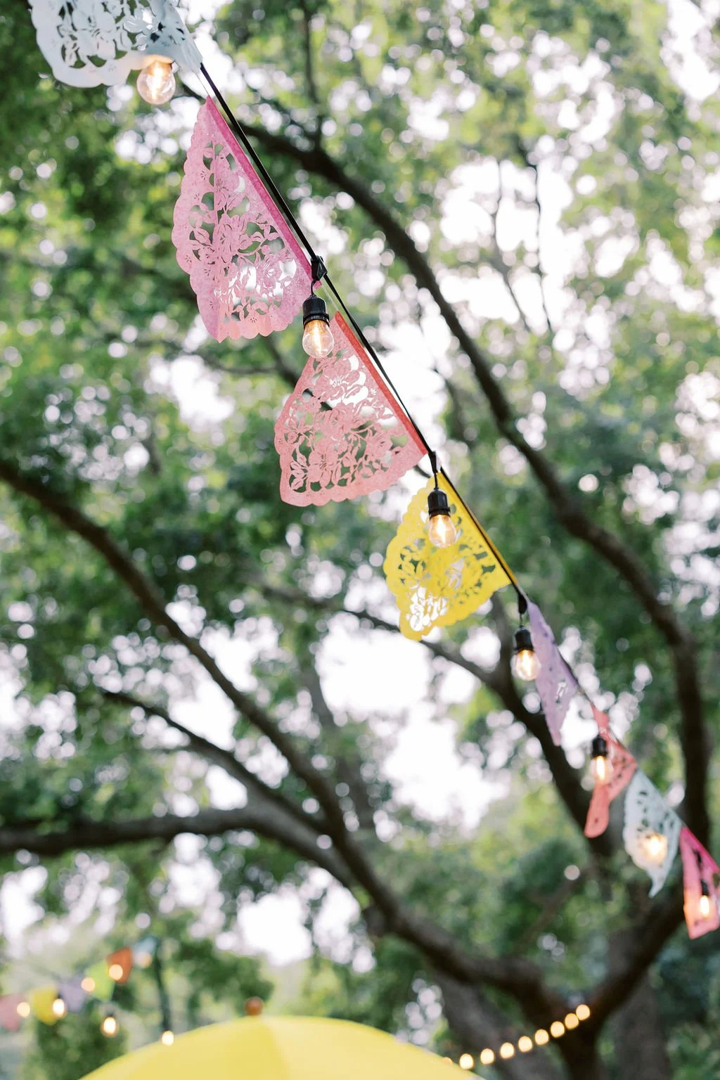 4F6A7947AllisonErmonPhotography.jpg