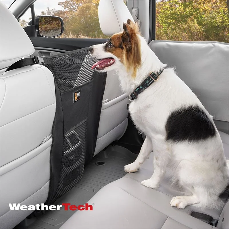 A dog sitting in the back seat of a car, looking through a mesh organizer attached to the front seat, with trees visible outside the window.