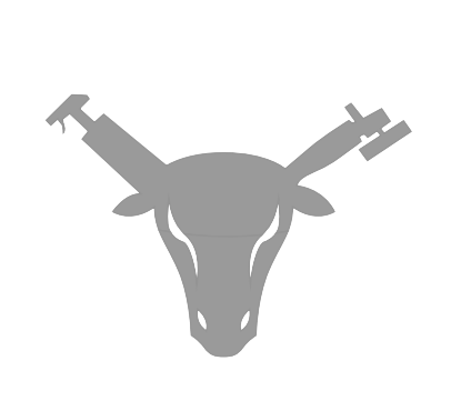 A grayscale bulls head with auto detailing tools as horns.