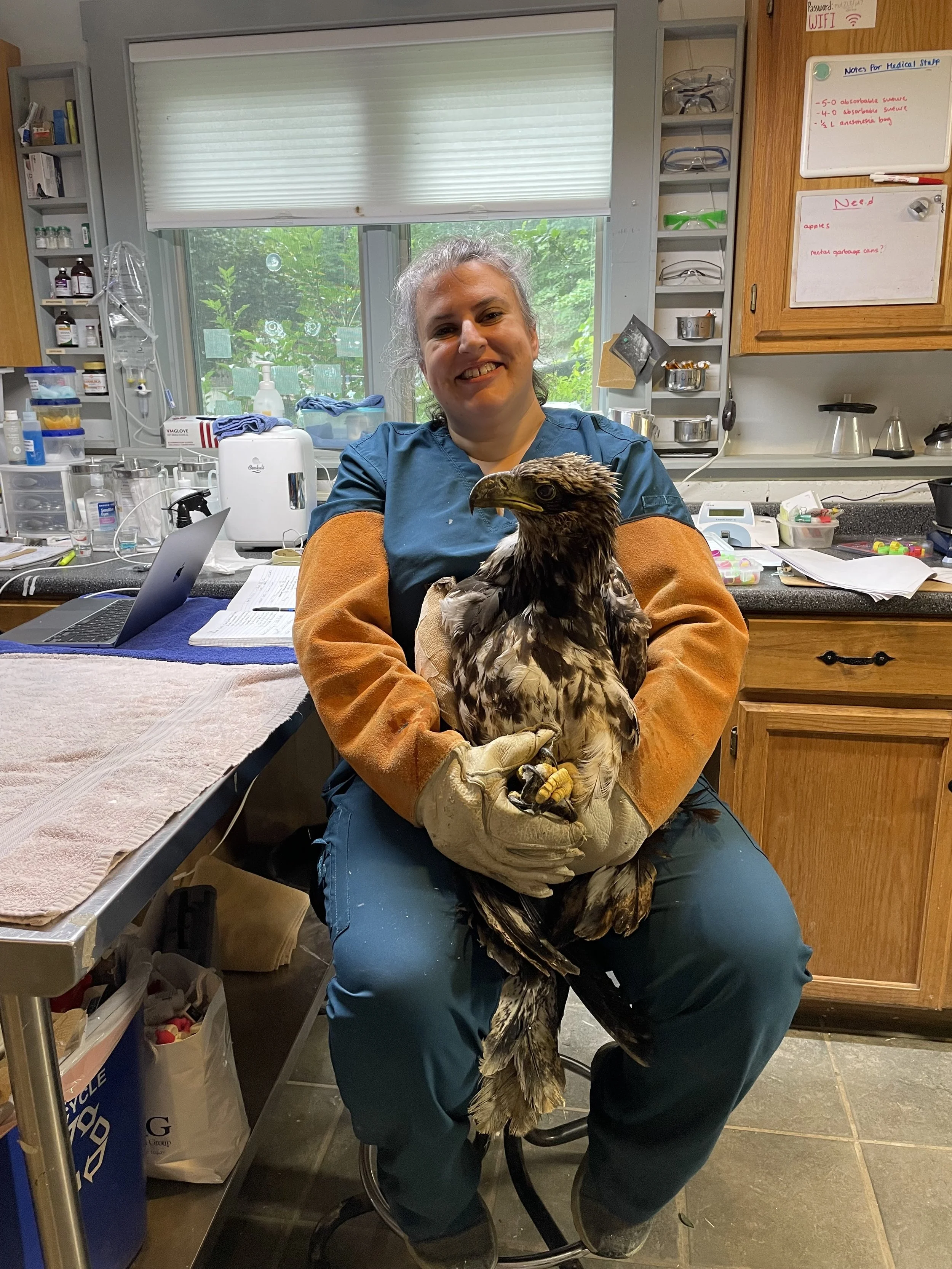 She's spent 20 summers rehabbing baby birds