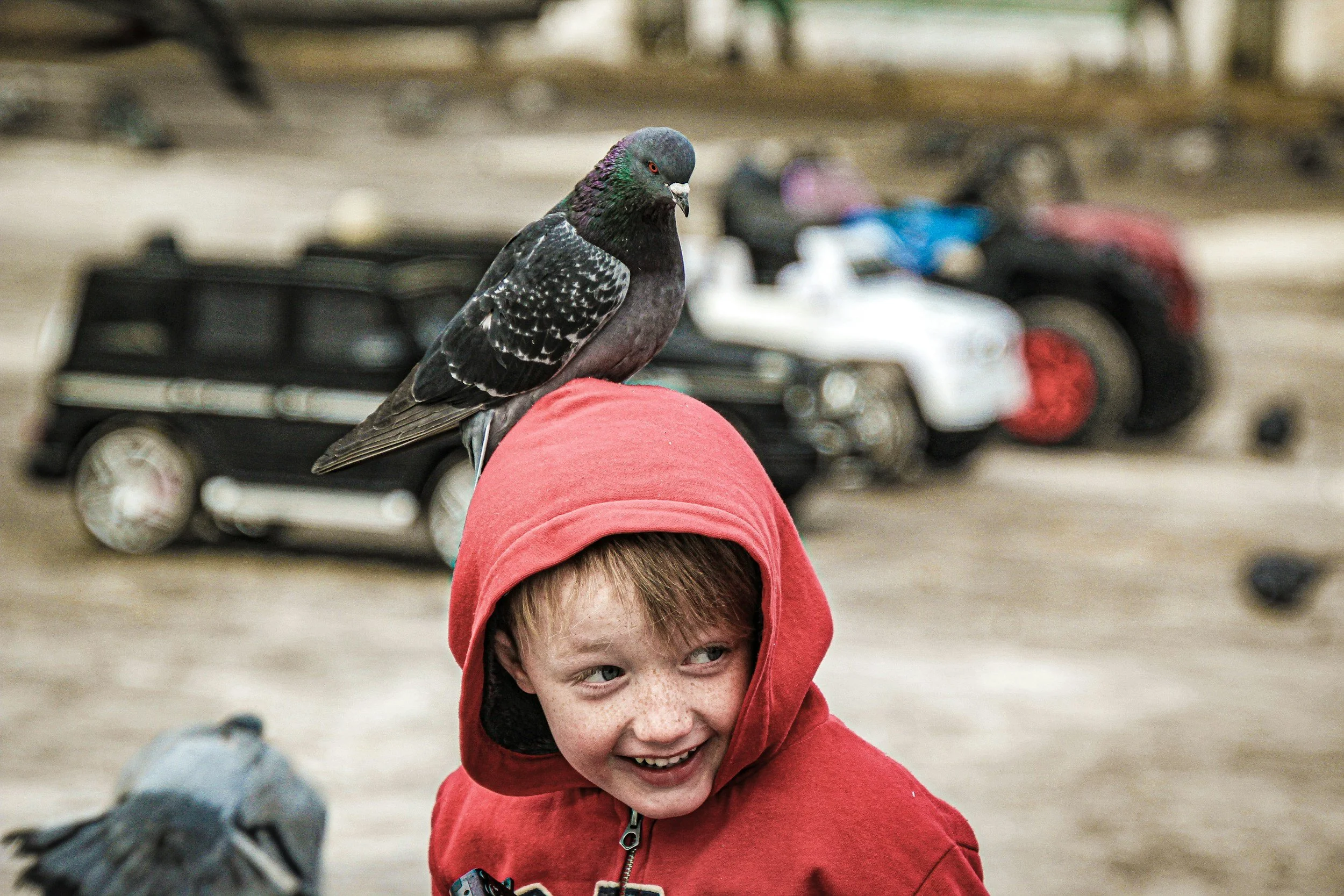 Raising the Next Generation of Bird Lovers: A Family Guide to Birding