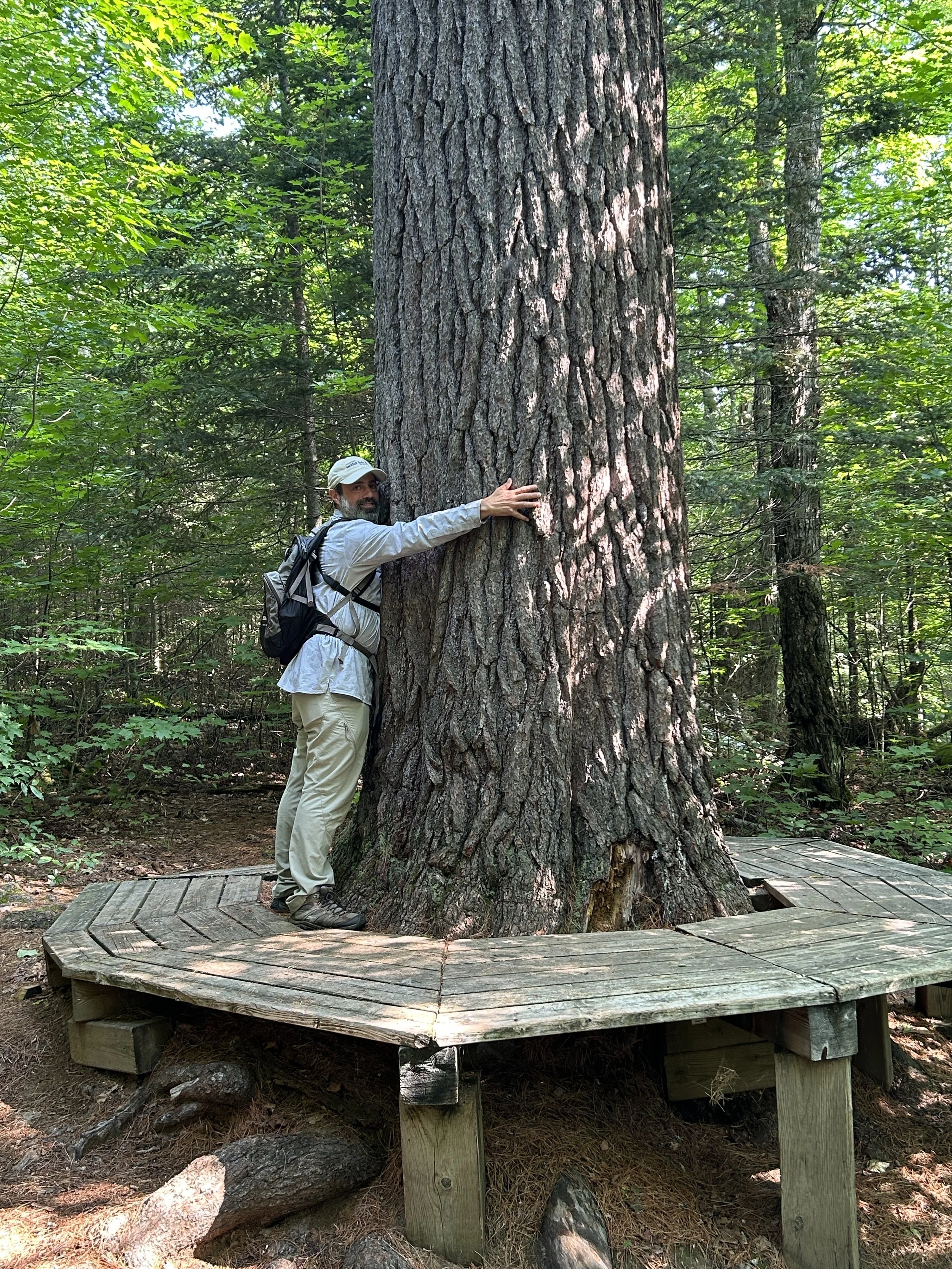 Birdwatching in Maine, a Q&amp;A with Derek Lovitch of Freeport Wild Bird Supply