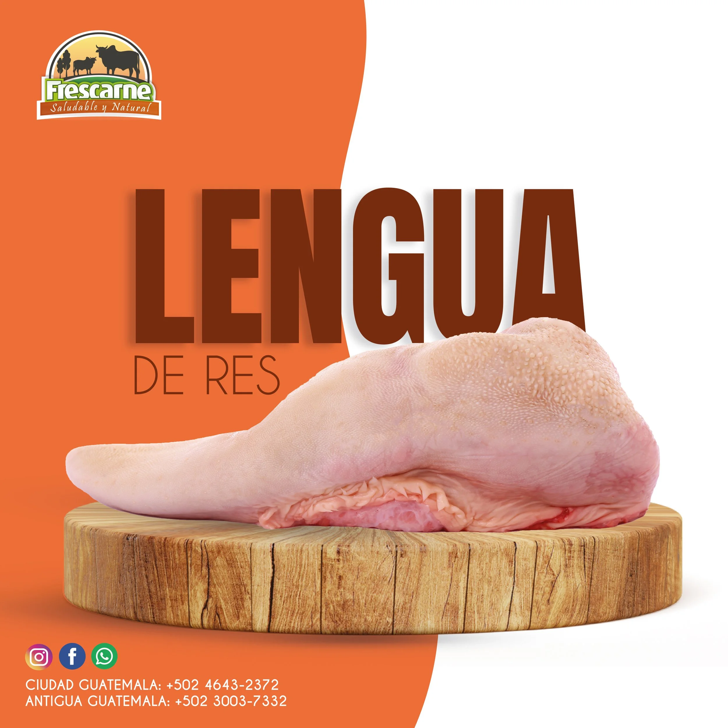POST LENGUA DE RES_Mesa de trabajo 1-01.jpg