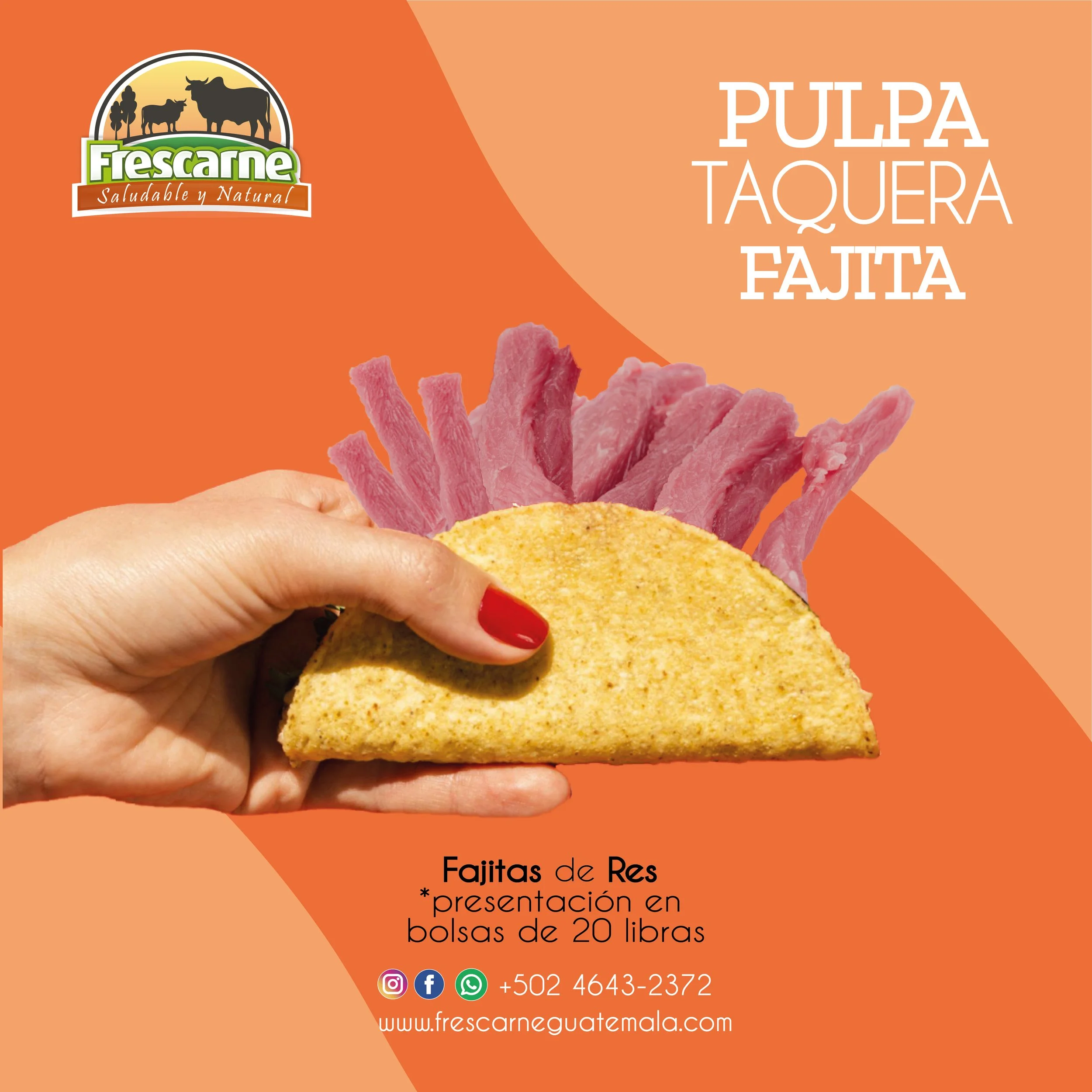 POST PULPA TAQUERA FAJITA1.JPG