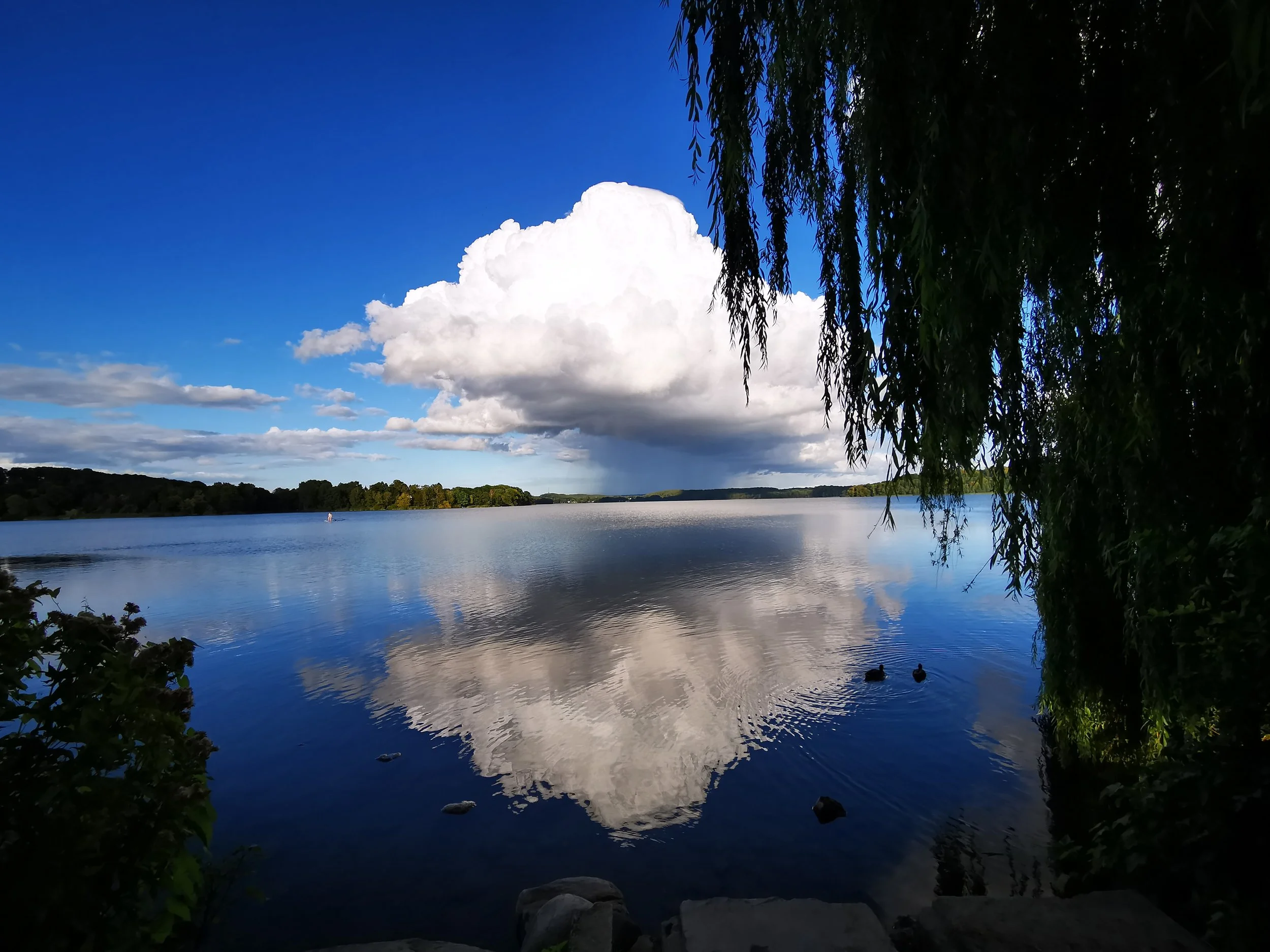 Ein ruhiger See mit einem großen weißen Wolkenhimmel, umgeben von Bäumen und einem dunklen Ufer im Vordergrund.