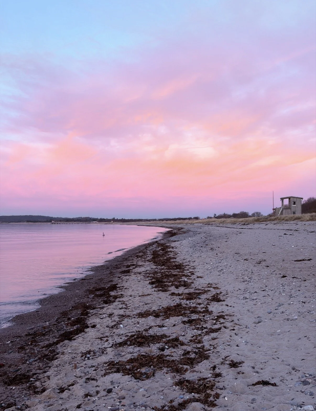Ein Strand bei Sonnenuntergang mit pinken und blauen Himmel, ruhigem Wasser, einer einsamen Hütte im Hintergrund und Meeresalgen am Strand.