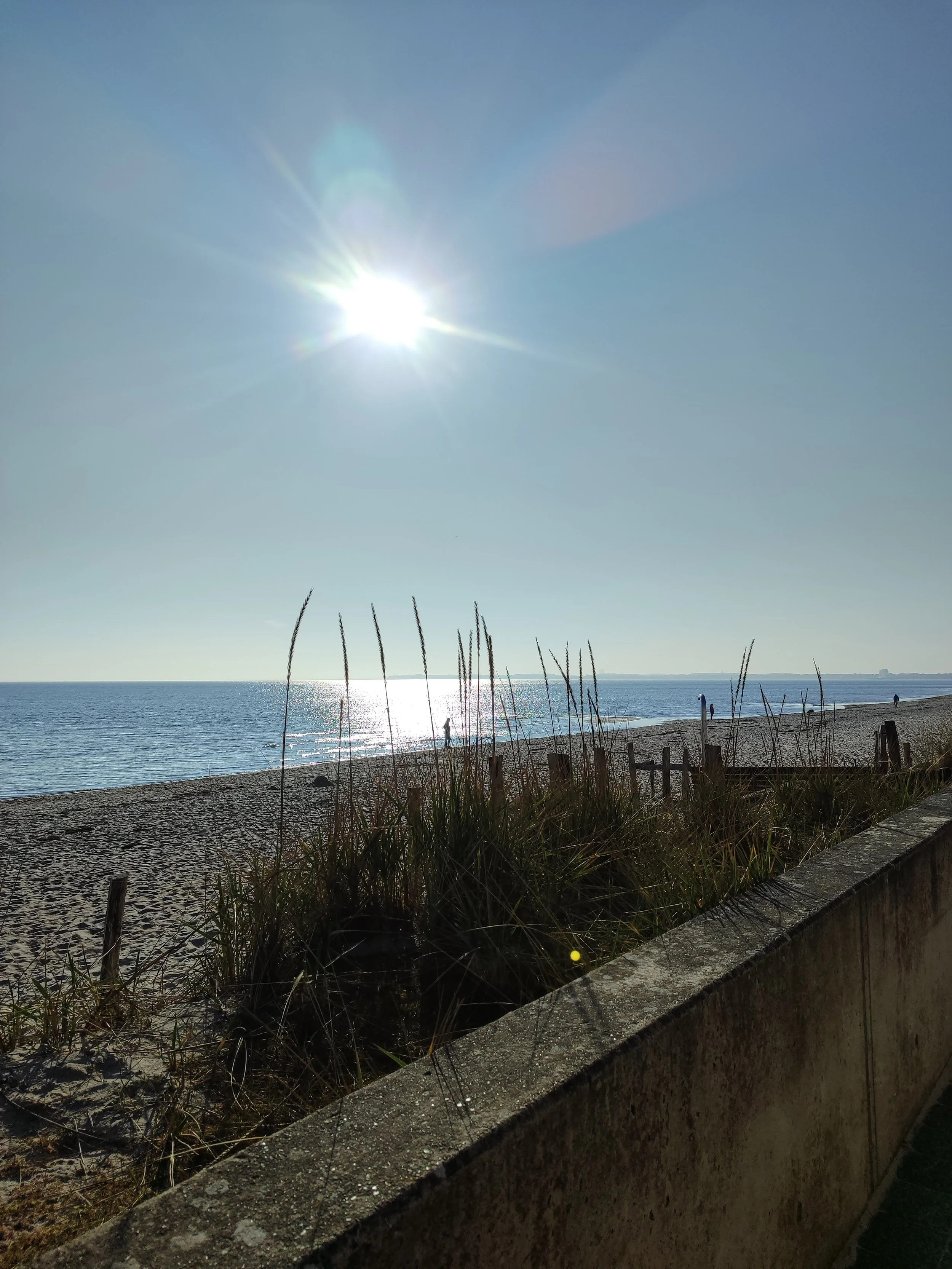 Blick auf den Strand, das Meer und den Himmel mit direktem Sonnenschein, im Vordergrund ist eine Betonmauer mit vertrocknetem Gras.