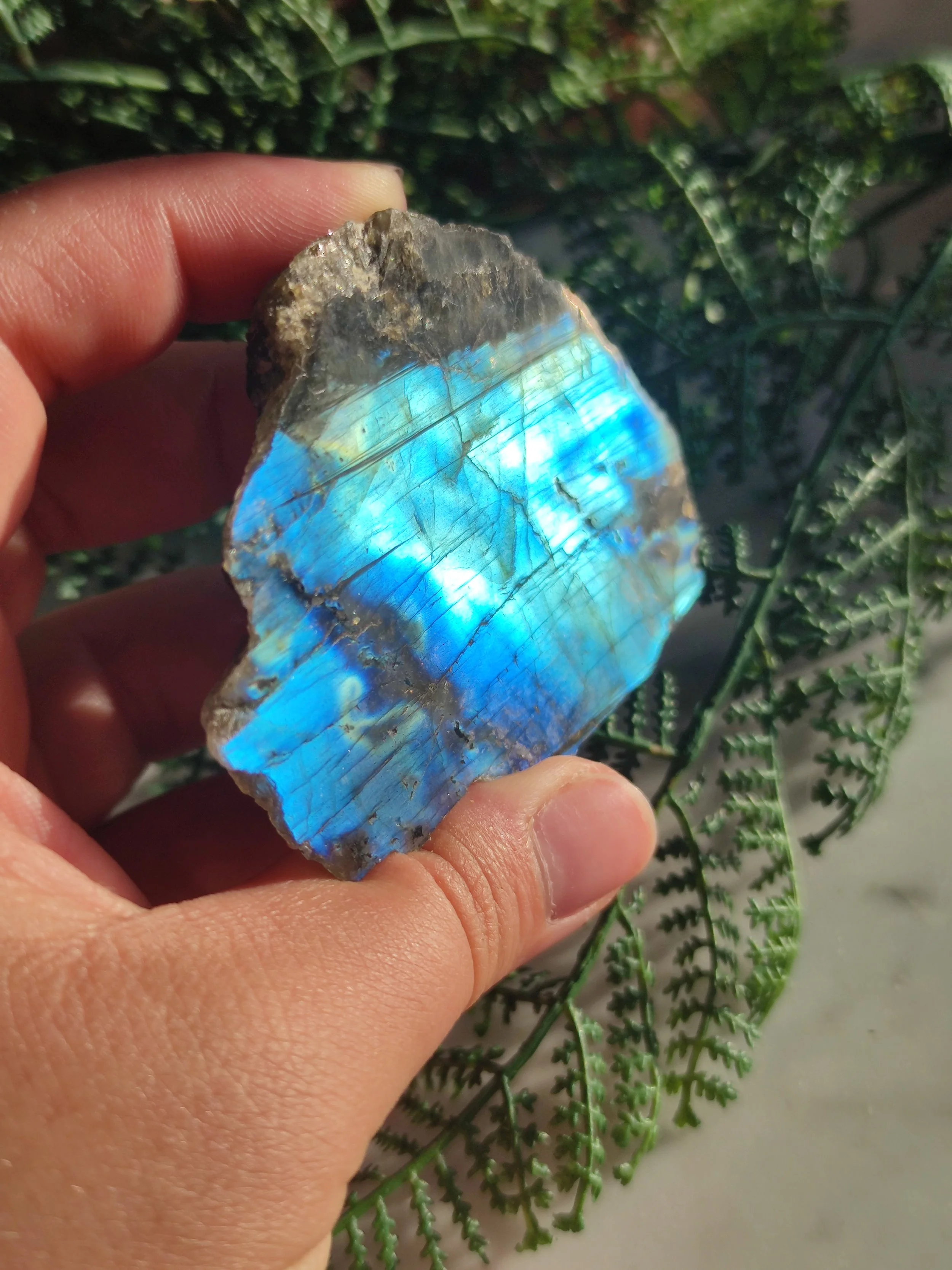 Ein Hand hält eine große, polierte Opalkristall mit blauen und grünen Schimmereffekten vor einem Hintergrund mit grünen Pflanzen.
