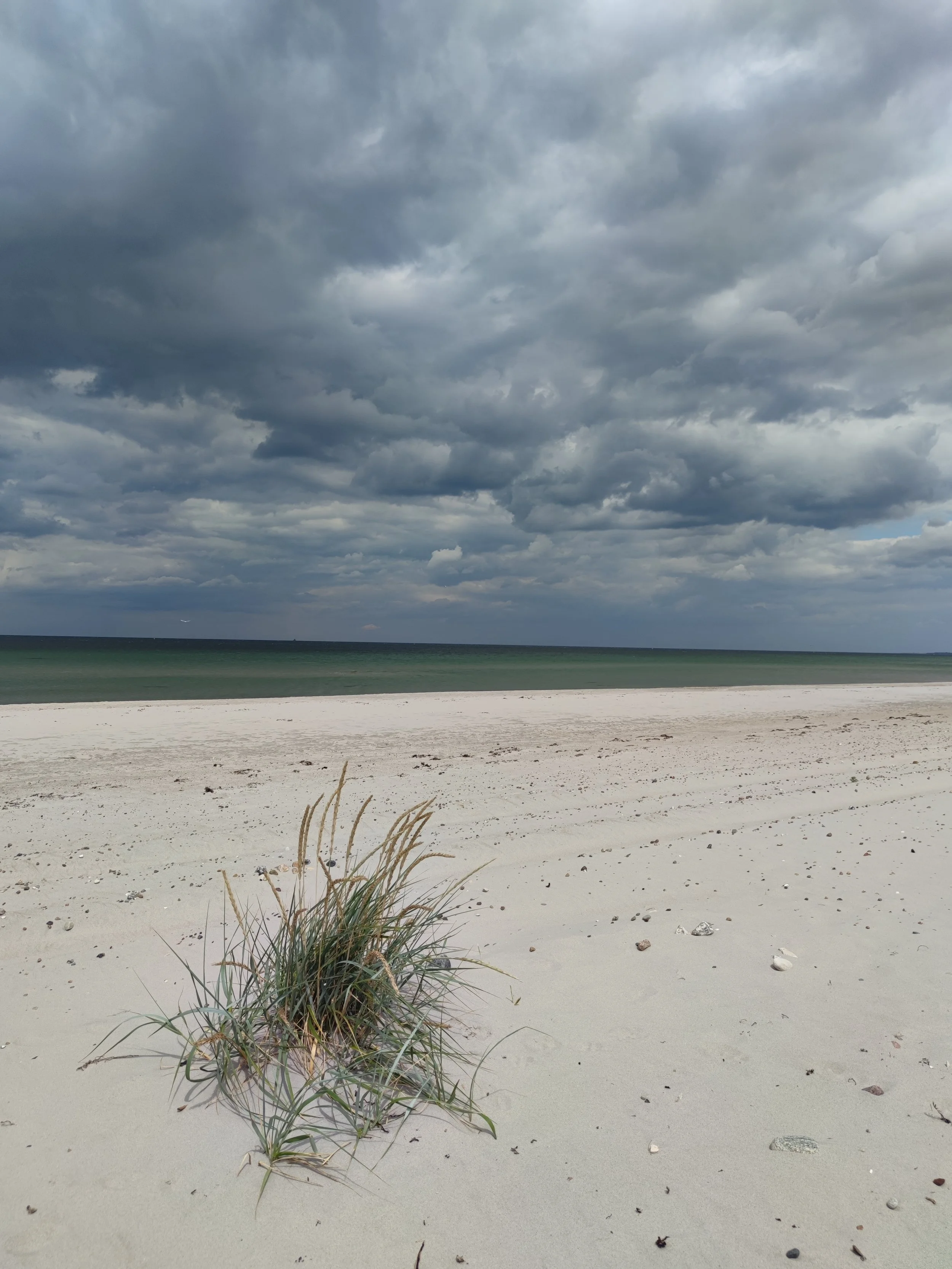 Ein Sandstrand mit einzelnen Gräsern im Vordergrund, ruhiges Wasser im Hintergrund, dunkle Wolken am Himmel.