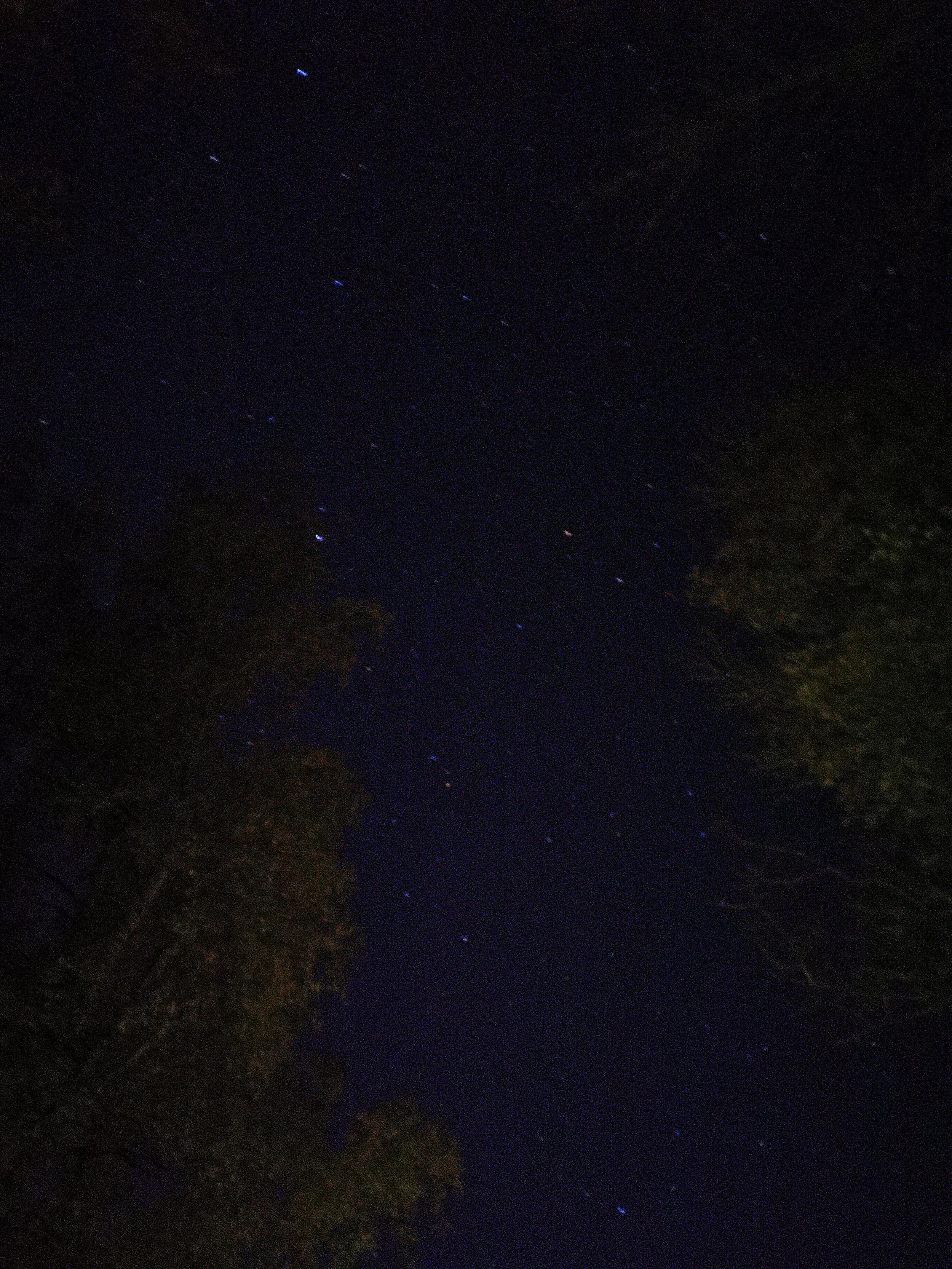 Der Nachthimmel mit vielen sichtbaren Sternen, umgeben von Bäumen und einem dunklen Himmel ohne Wolken.