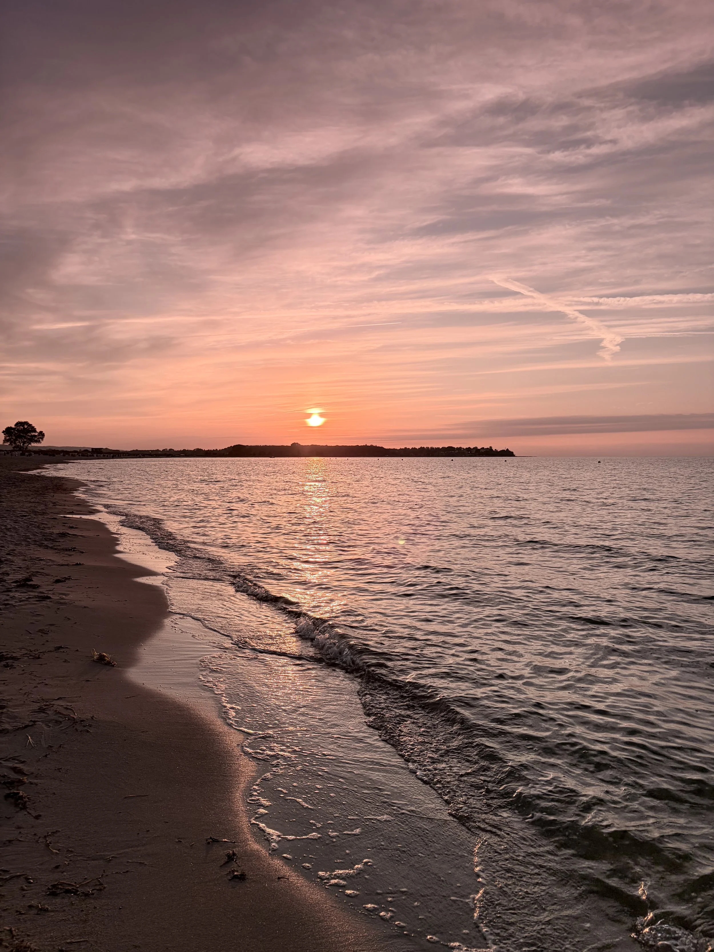 Der Sonnenuntergang über dem Meer, der Himmel in warmen Orangetönen mit Wolkenmustern, ruhige Wasseroberfläche und ein einsamer Baum am Strand im Vordergrund.