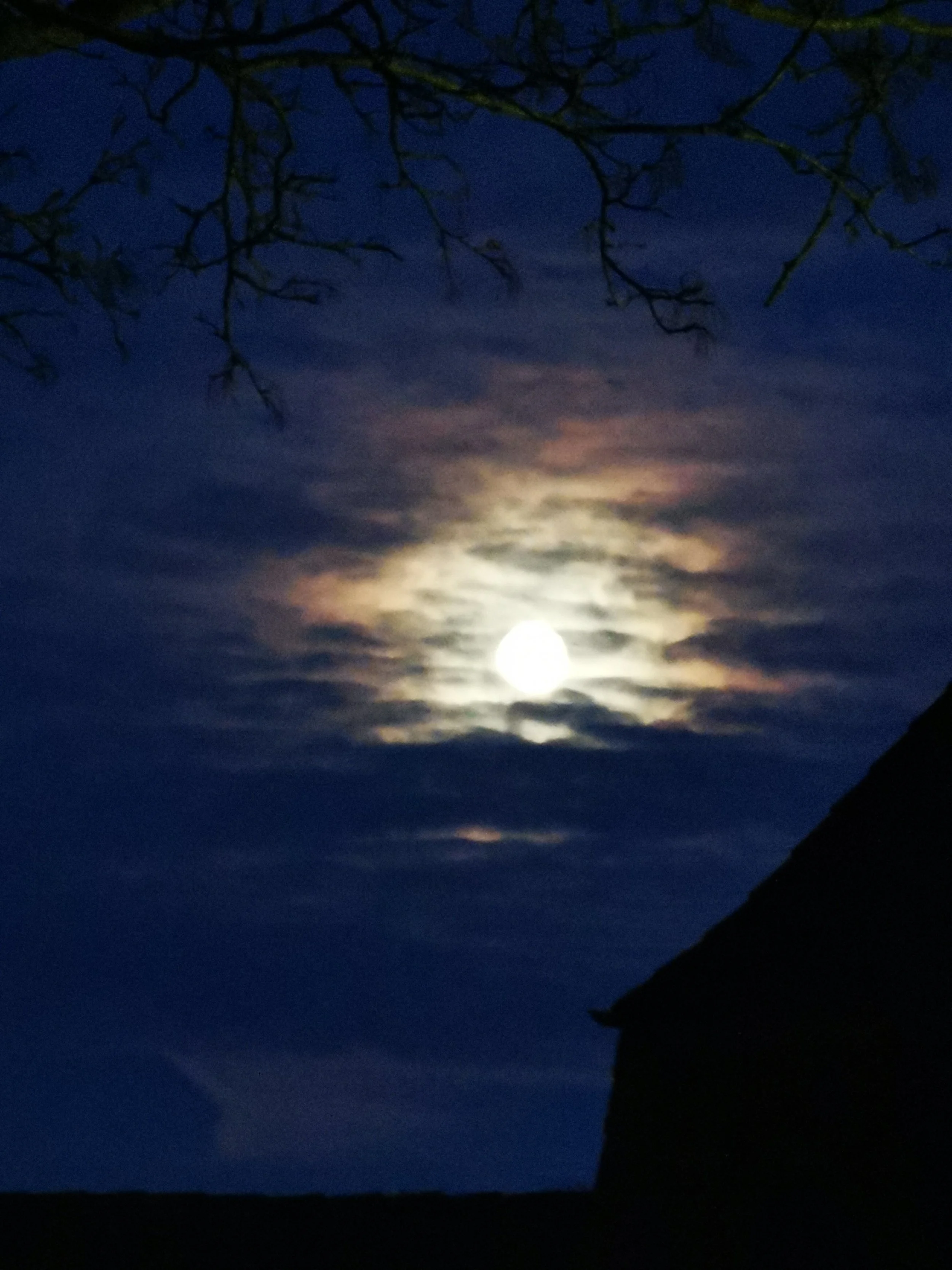 Vollmond hinter Wolken mit Silhouetten von Baum und Hausdach bei Nacht.