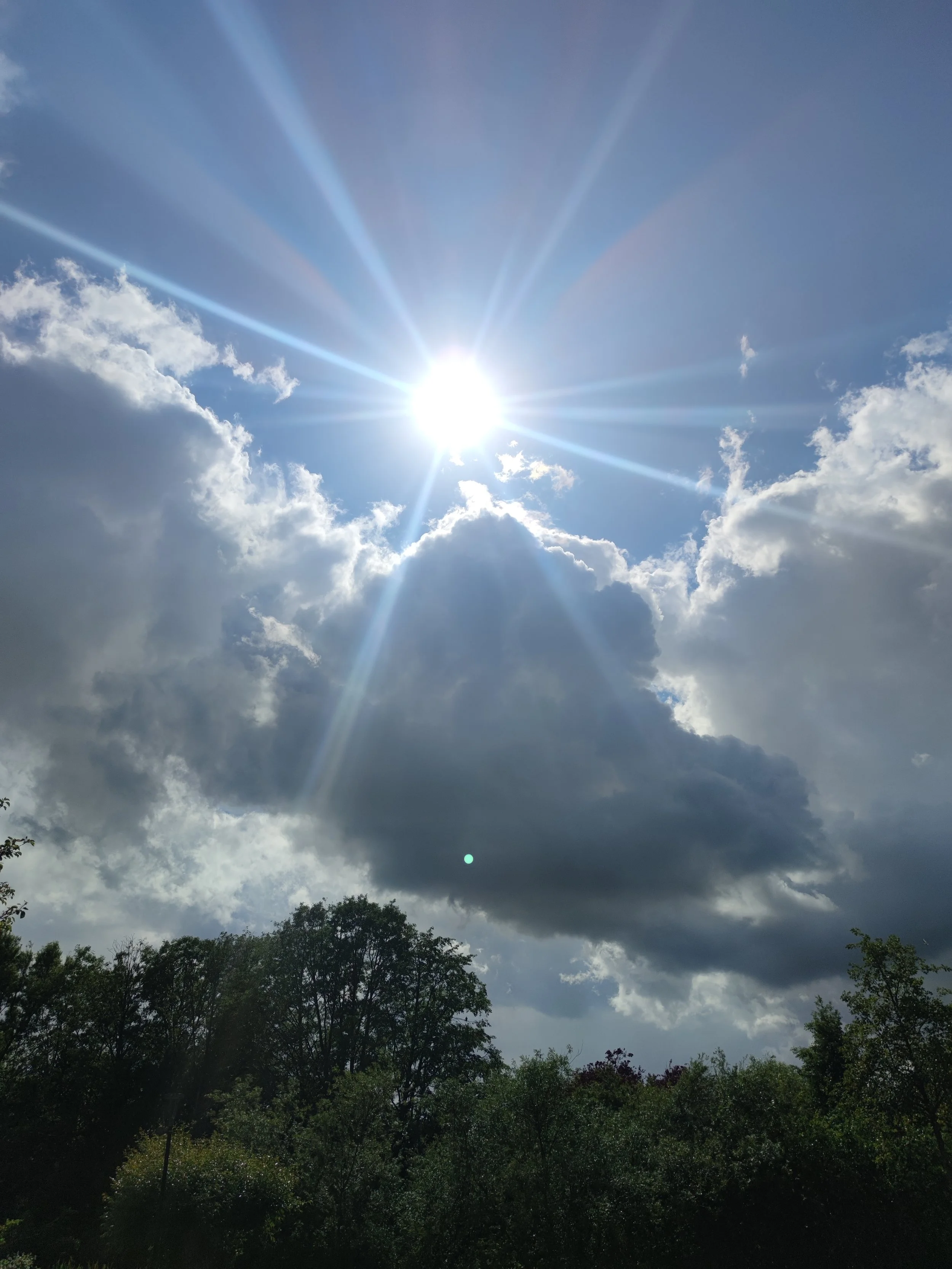 Blick auf den Himmel mit Sonnenschein, Wolken und Sonnenstrahlen über einer Baumkrone