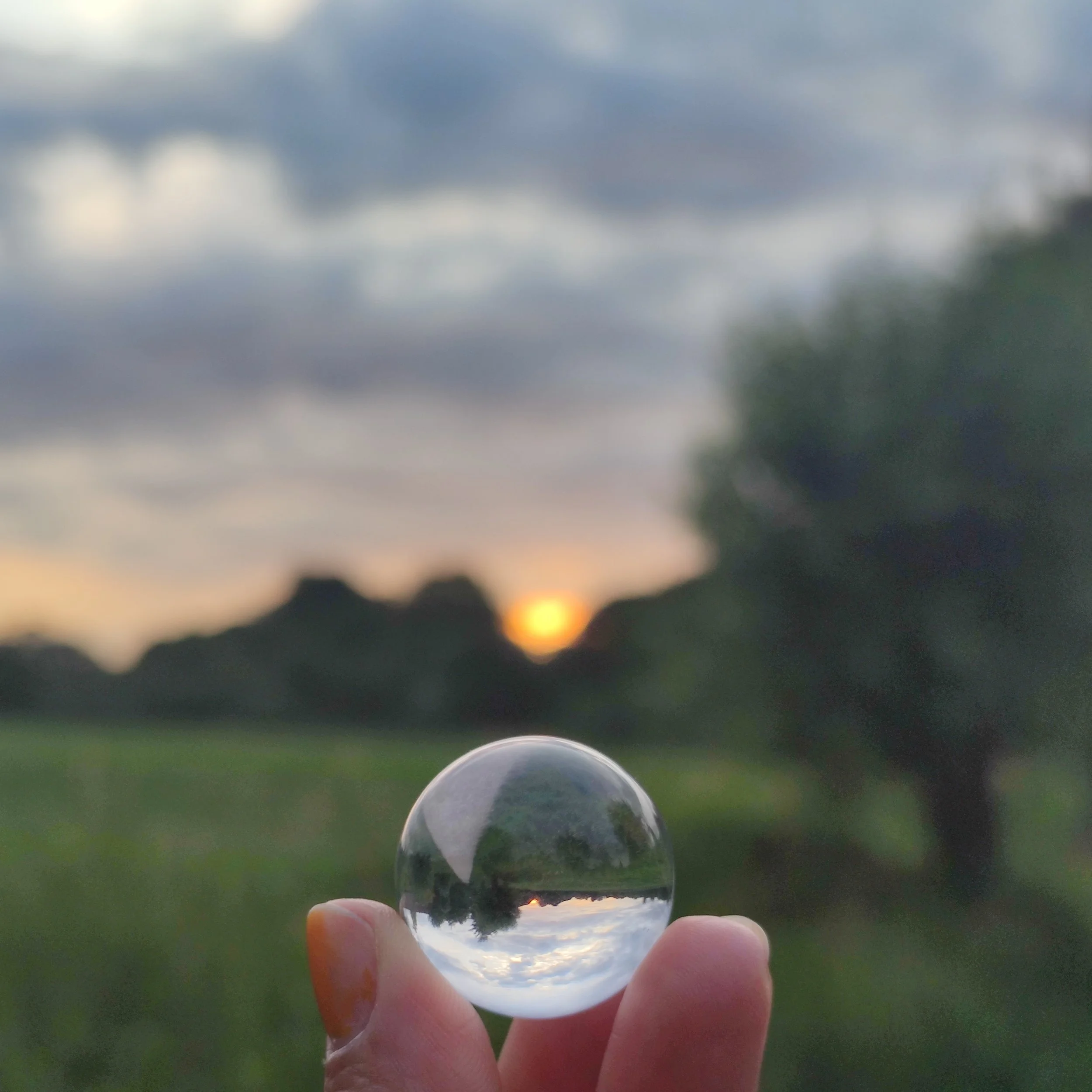 Eine Hand hält eine Kristallkugel, durch die ein Sonnenuntergang mit Himmel, Wolken und Bäumen sichtbar ist.