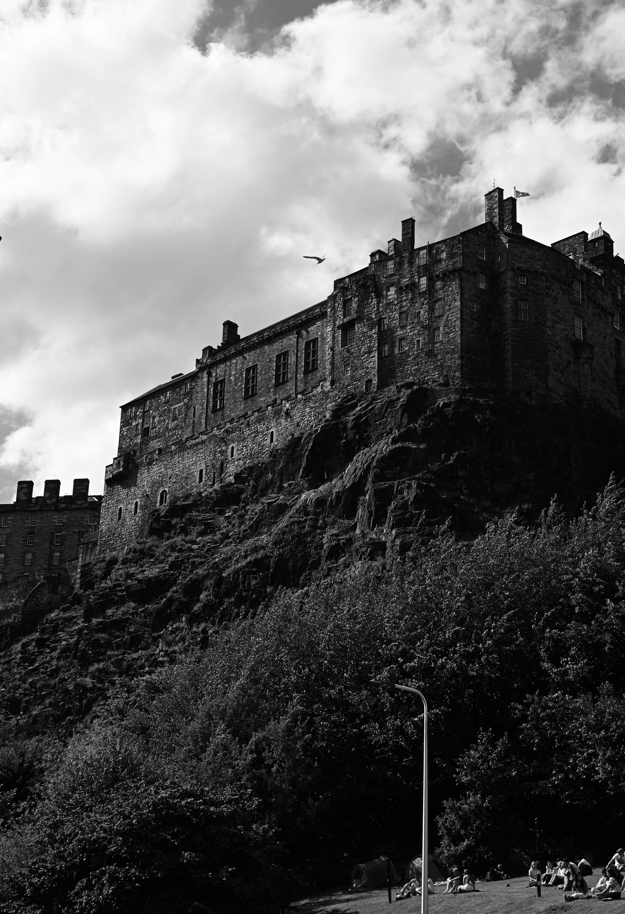DSC_6567.png