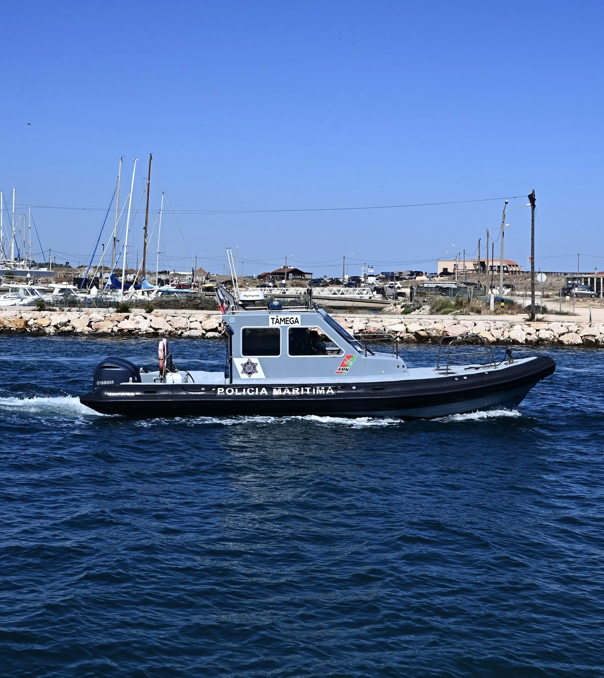 DSC_1611.jpg