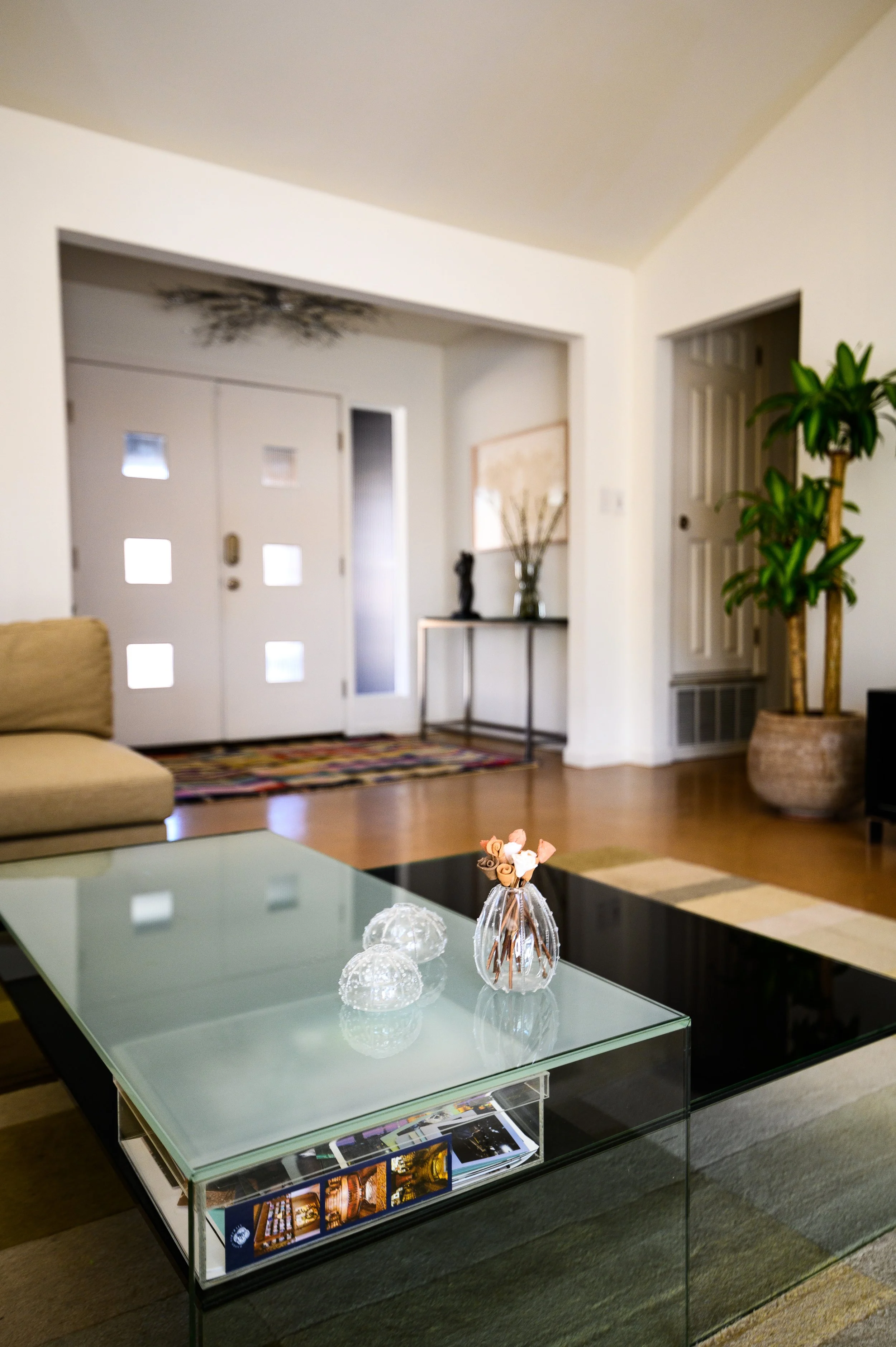 Balcones Woods - Living Detail.jpg