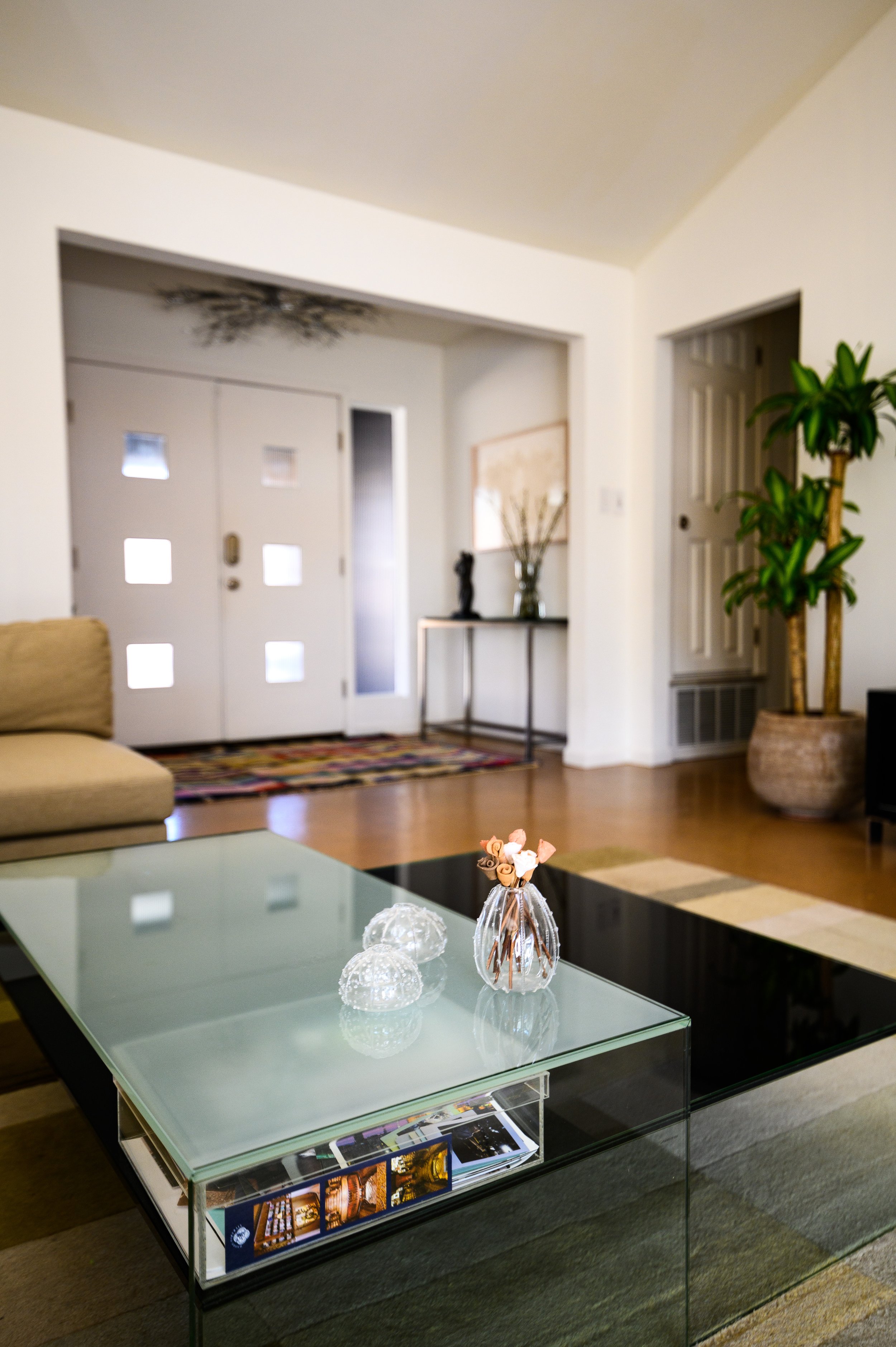 Balcones Woods - Living Detail.jpg