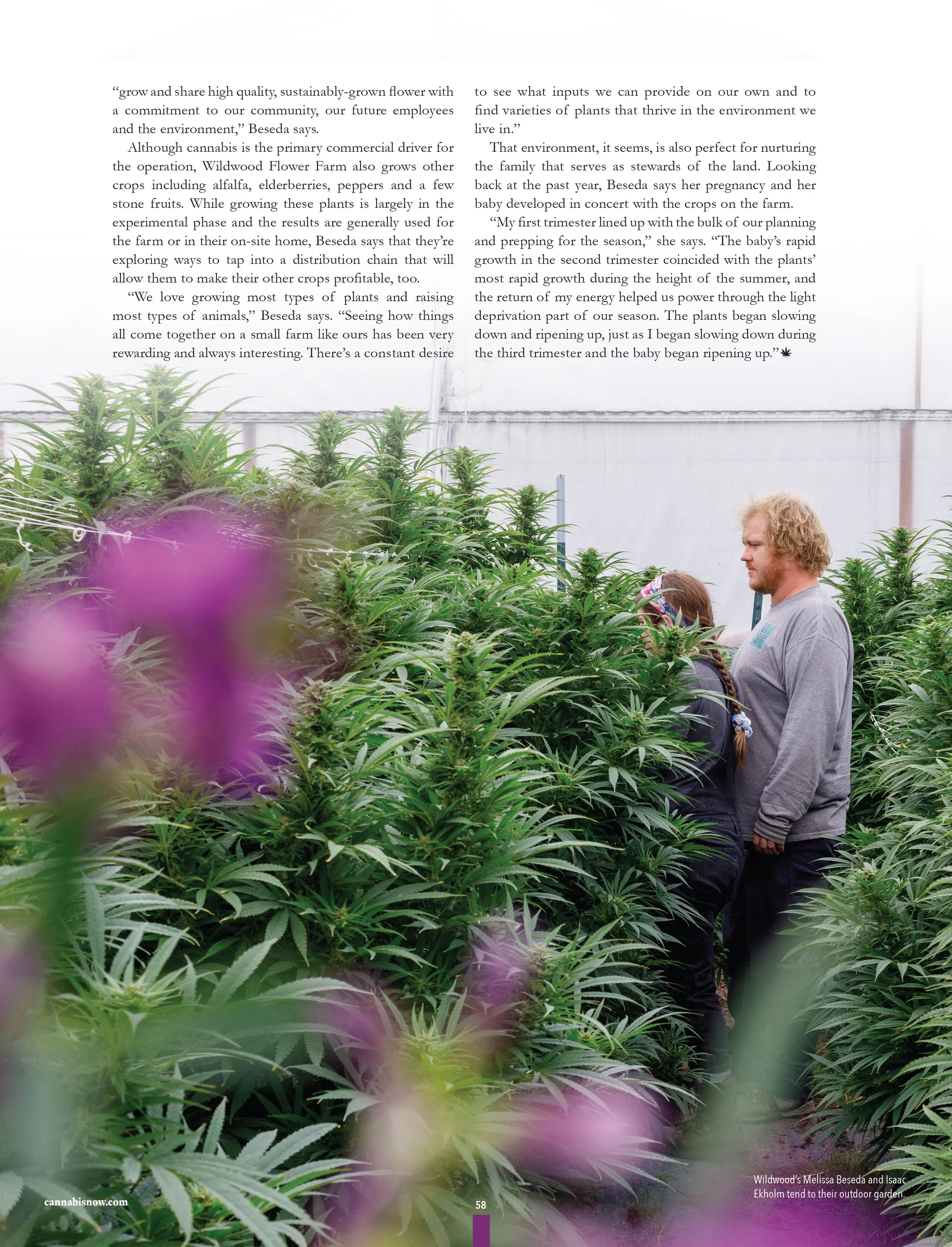 220201_cannabis-now-magazine_wildwood-flower-farm_kristen-angelo_7.jpg