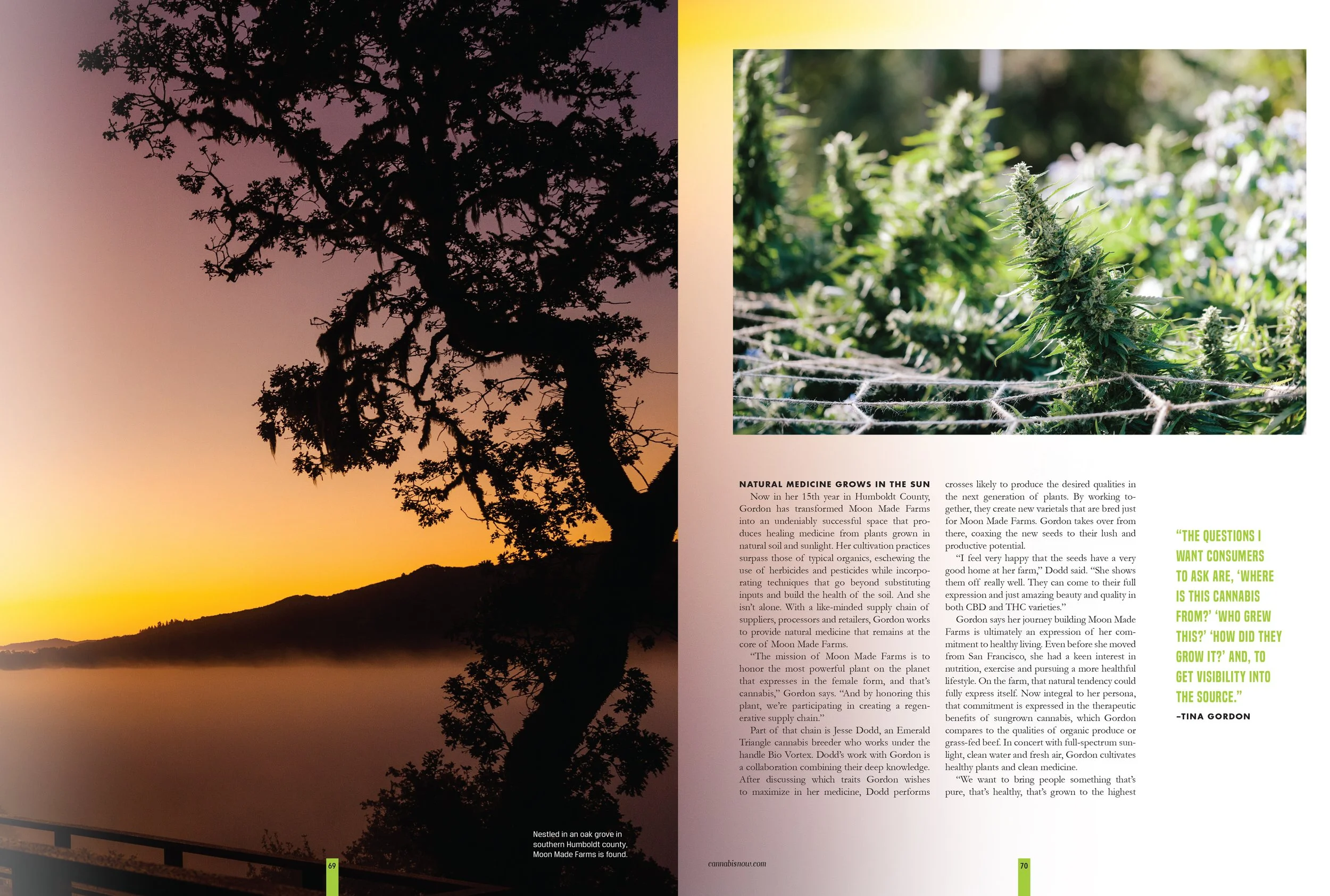 cannabis-now-magazine_moon-made-farms_kristen-angelo_2.jpg