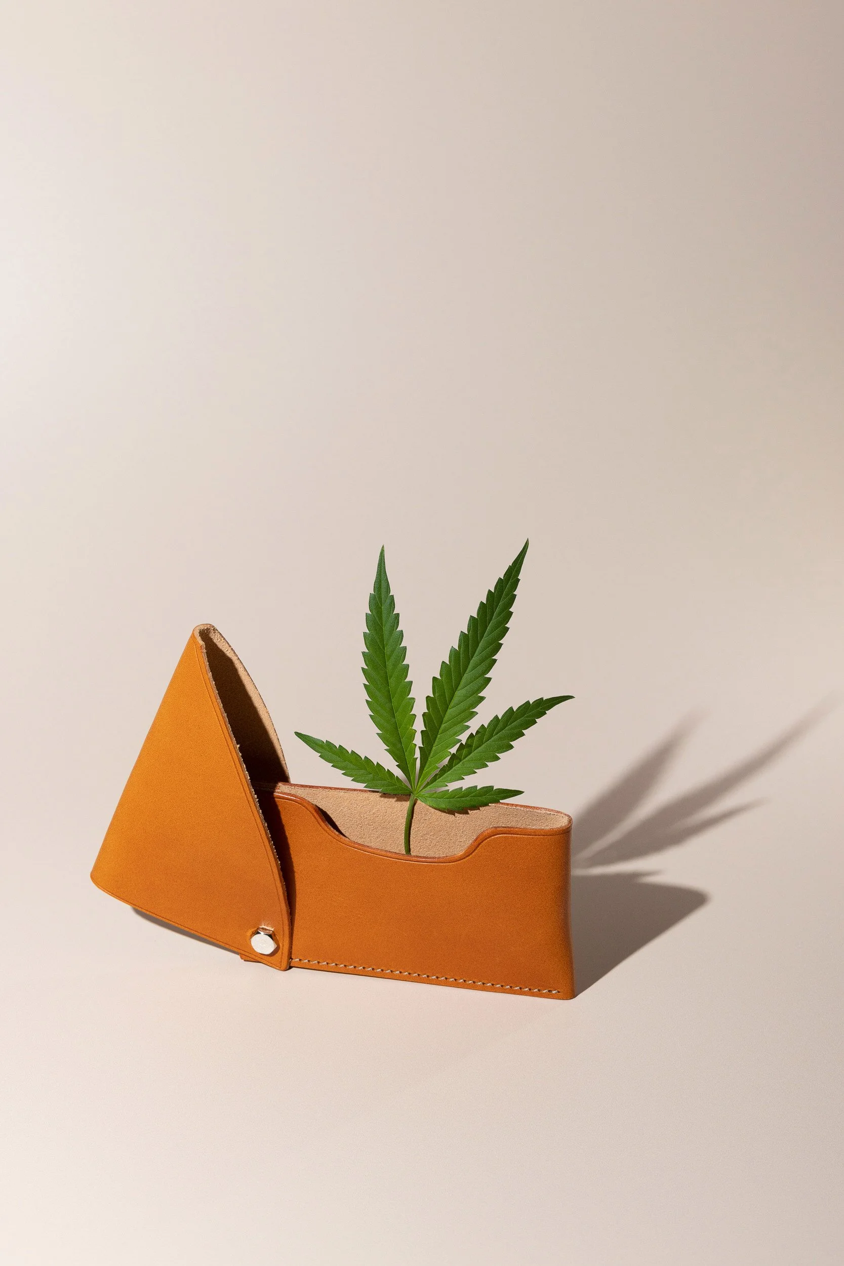 cannabis-wallet-conceptual_KA2911.jpg