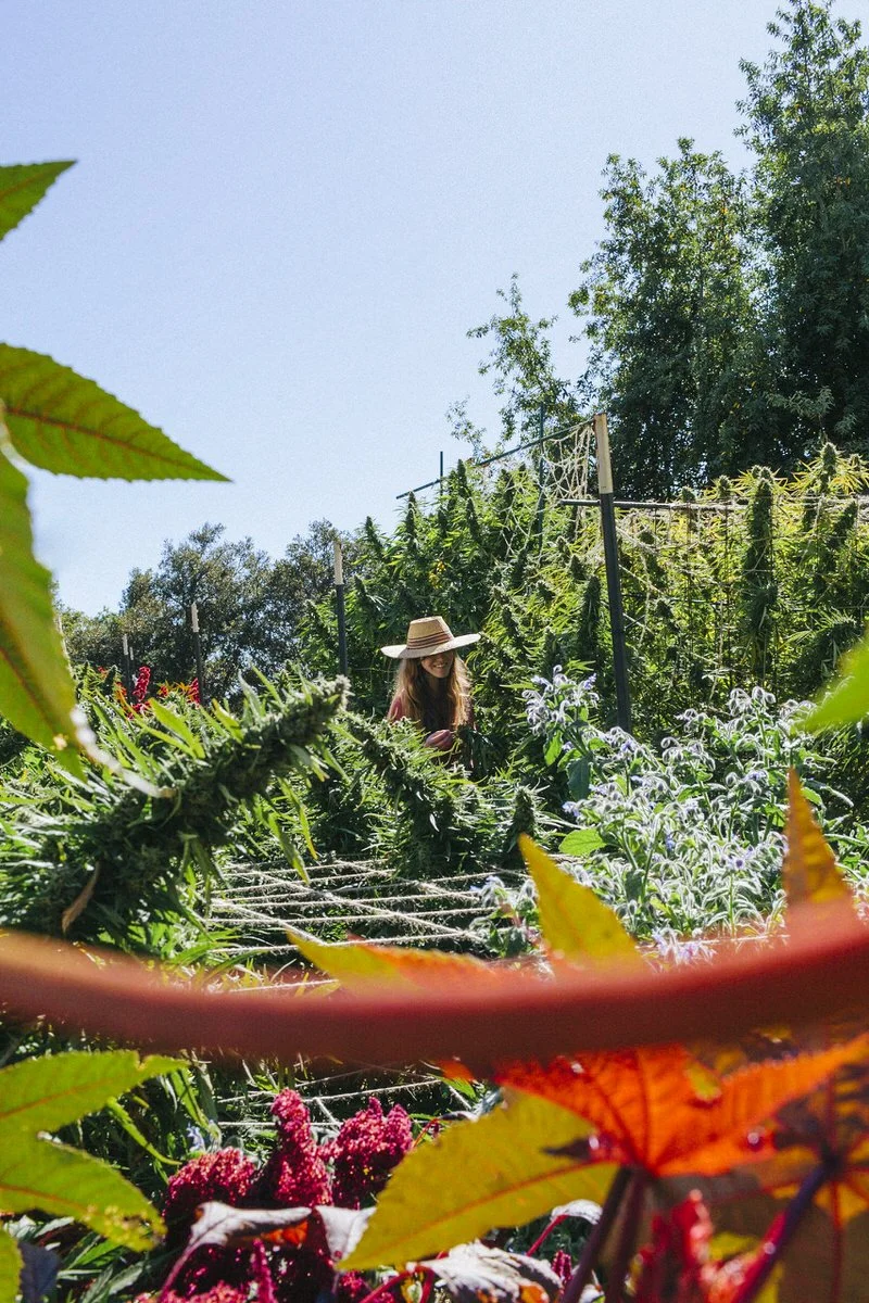 191005_moon-made-farms_7742.jpg