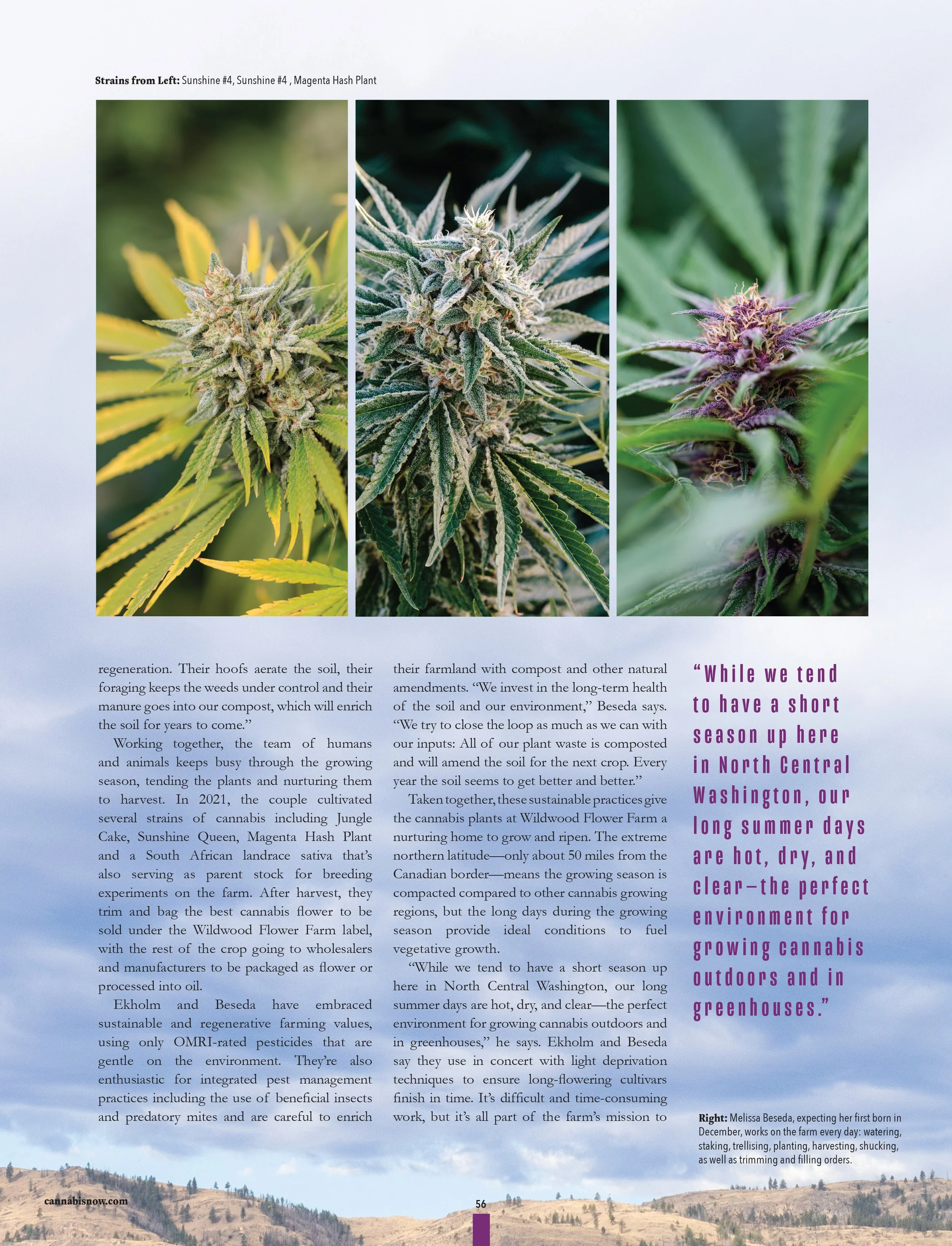 220201_cannabis-now-magazine_wildwood-flower-farm_kristen-angelo_5.jpg