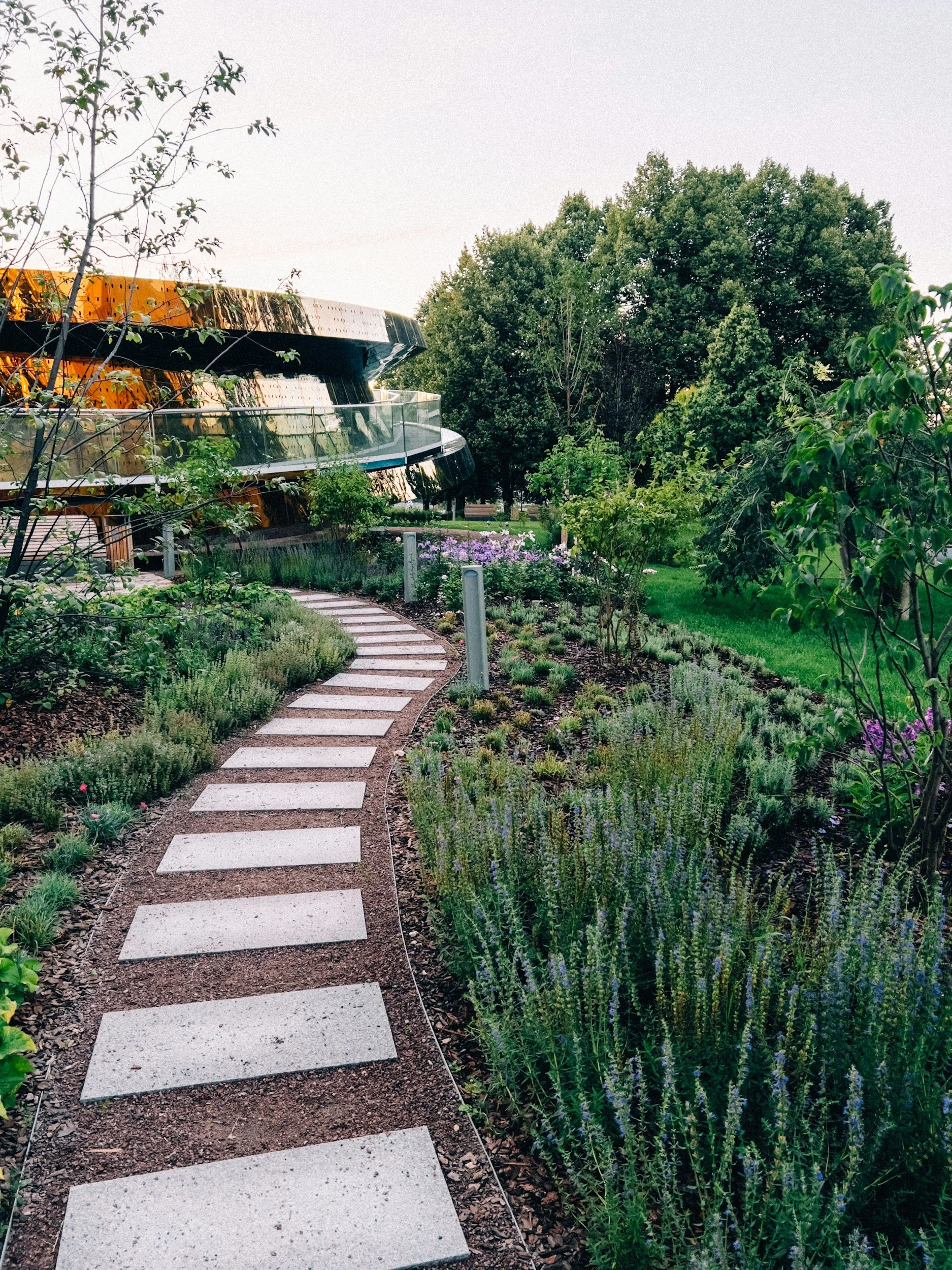 A garden with a stone pathway winding through lush green plants and lavender flowers, surrounded by trees, with a modern building in the background.