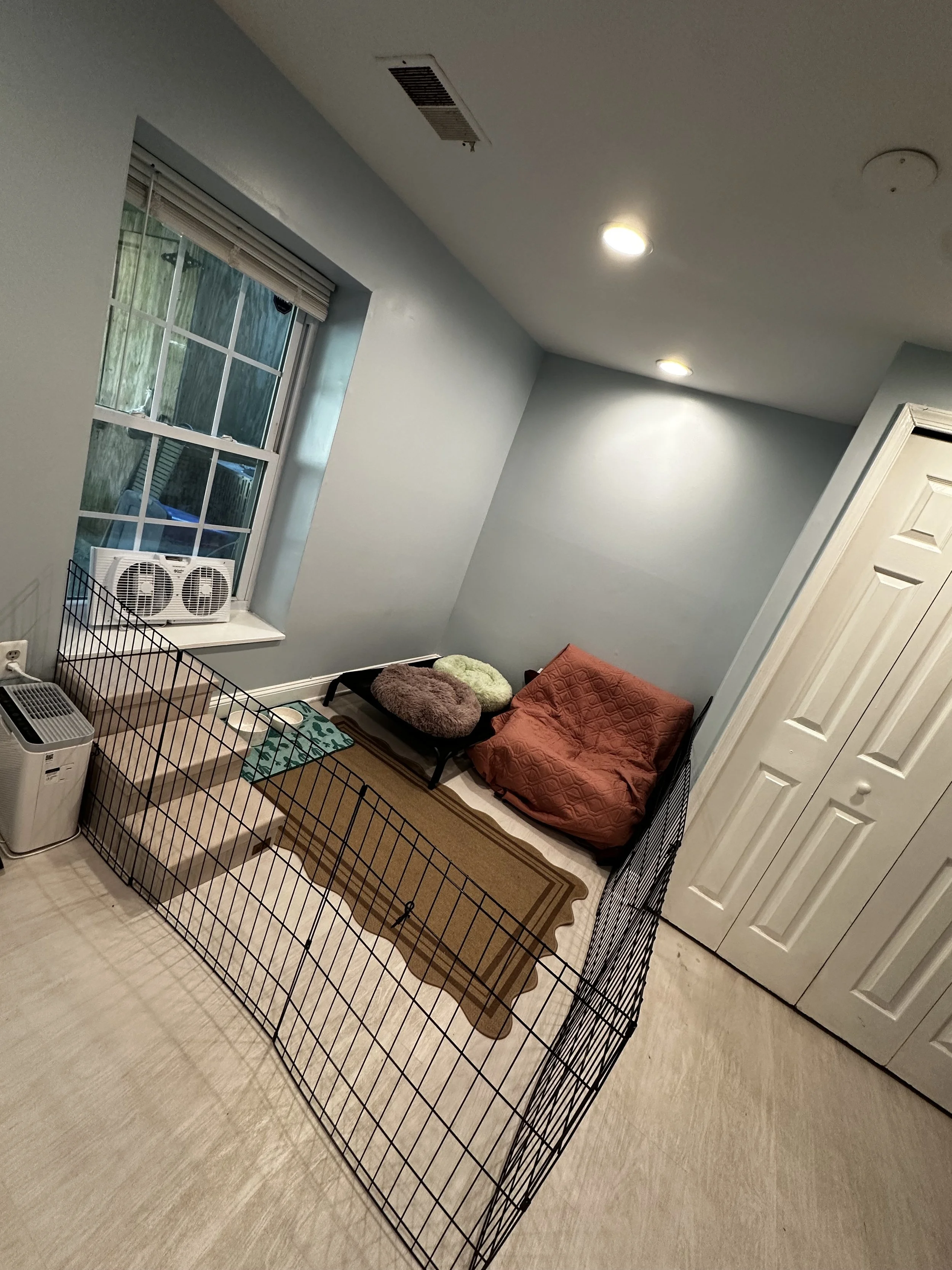 Room with a wire fence, pet bed, air conditioner, window, small table with paw print mat, couch with pink cover, closet with closed doors, ceiling lights, window blind, and light-colored hardwood floor.