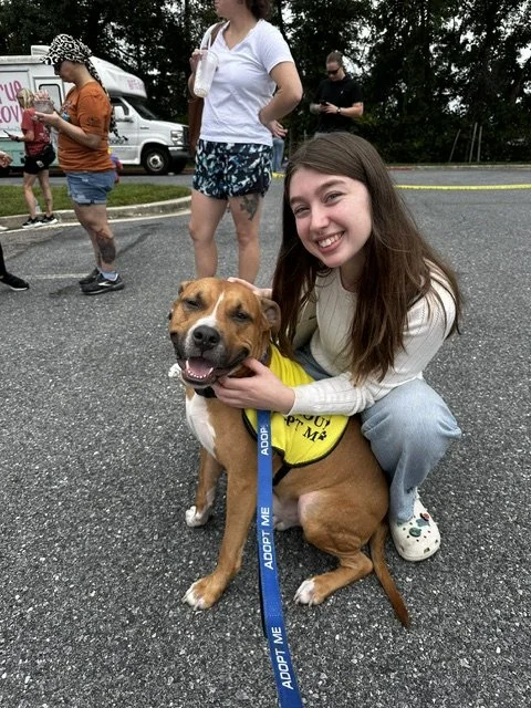 A young woman crouches beside a happy, brown and white dog wearing a yellow vest and a blue leash, at a gathering or event outdoors on a gray asphalt surface. Other people are in the background, some standing and some walking, with trees and parked vehicles nearby.