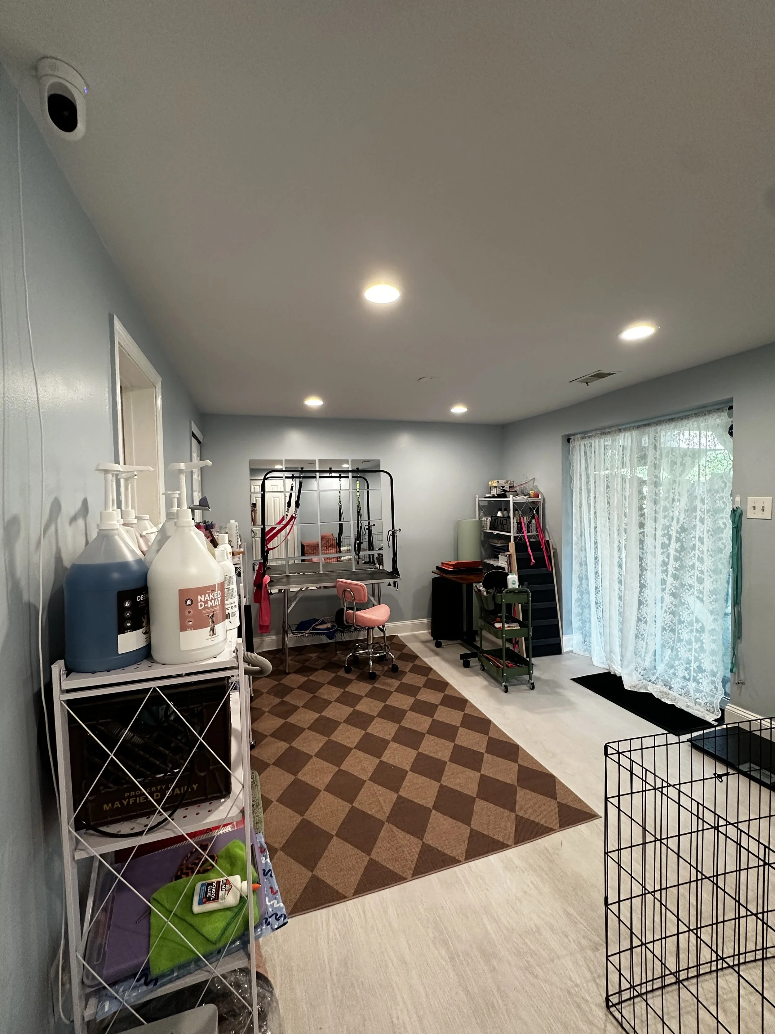 Indoor room with light blue walls, overhead lights, a window with lace curtains, and various furniture and items including cleaning supplies, shelving, and exercise equipment.