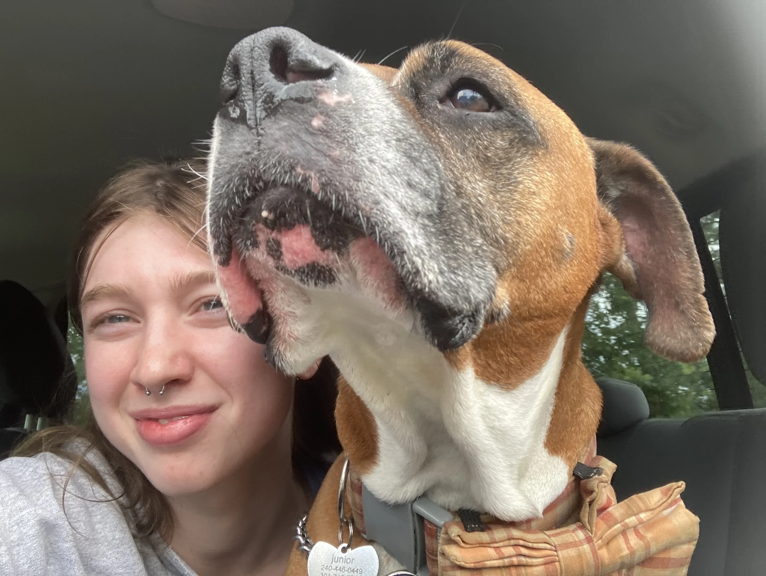 A person with curly hair and a septum piercing smiling next to a large brown and white dog with a black nose and brown eyes, both sitting inside a vehicle, with blurred greenery visible outside the window.