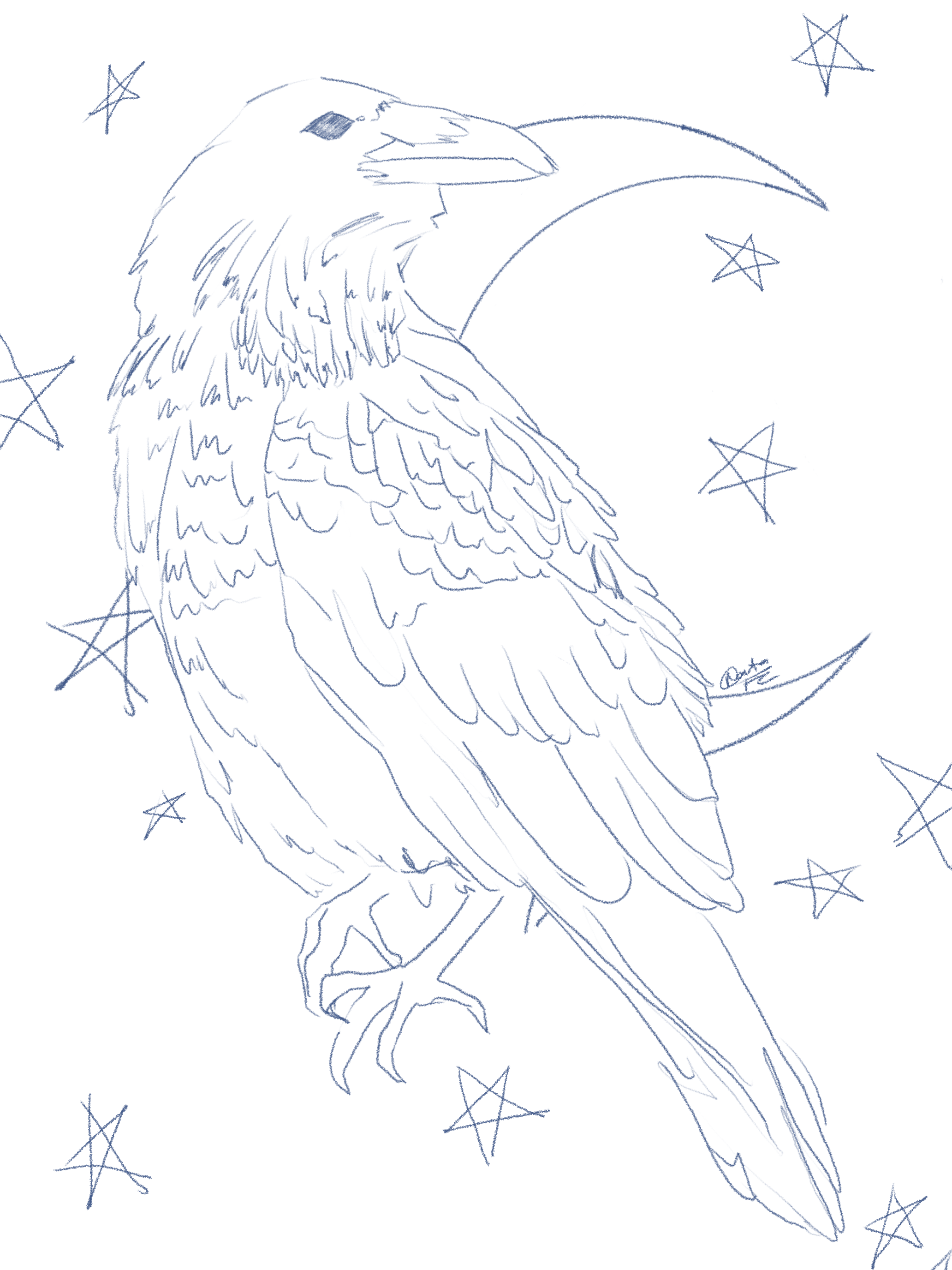 IMG_0452.png