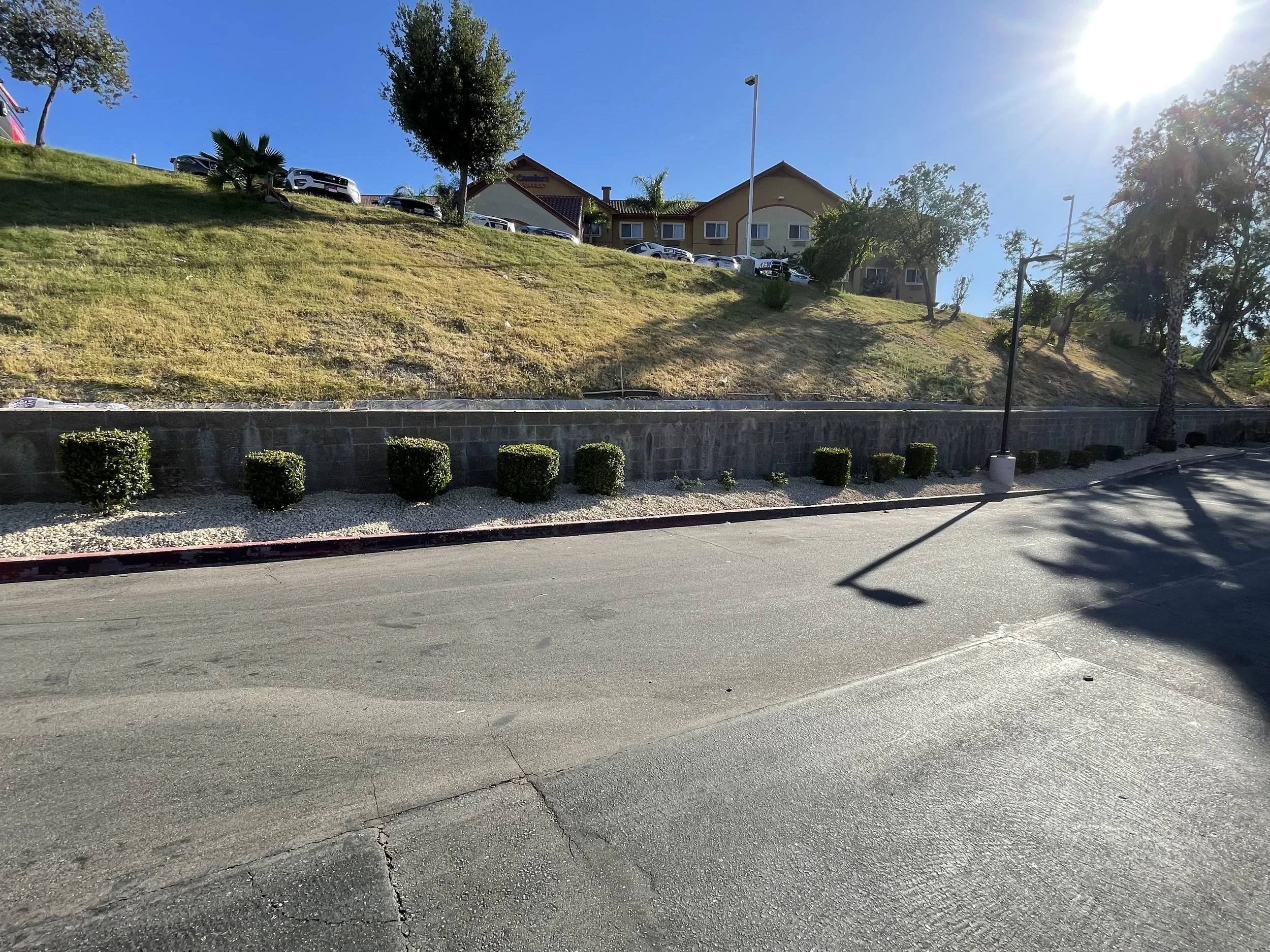 A street view showing a sidewalk with small shrubs, a concrete wall, a grassy hill with trees, parked cars, and a building under a bright blue sky with the sun shining.