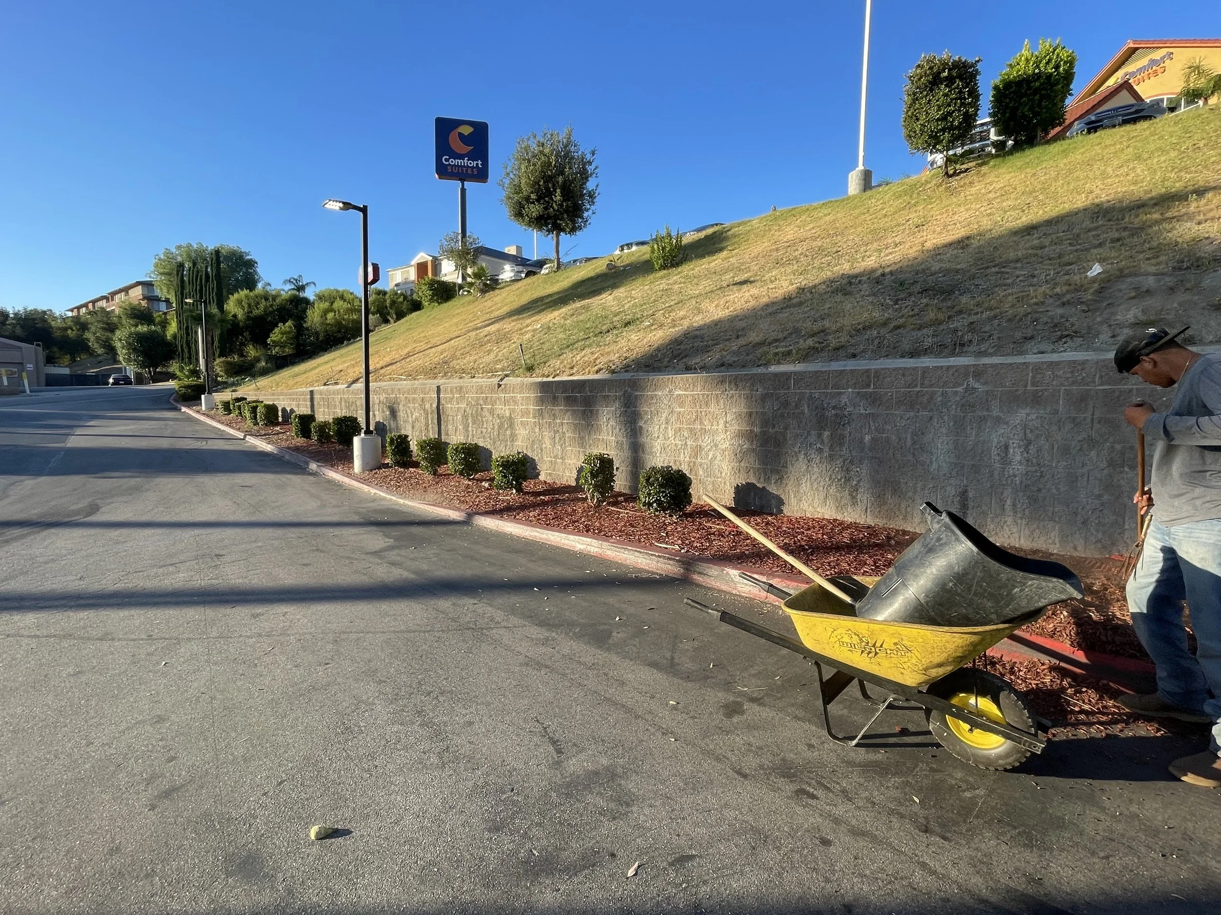 A person with a cap and sunglasses pushing a yellow wheelbarrow filled with red mulch along a freshly landscaped area beside a paved road. There are small bushes, a retaining wall, and a grassy hill with trees and buildings in the background under a 