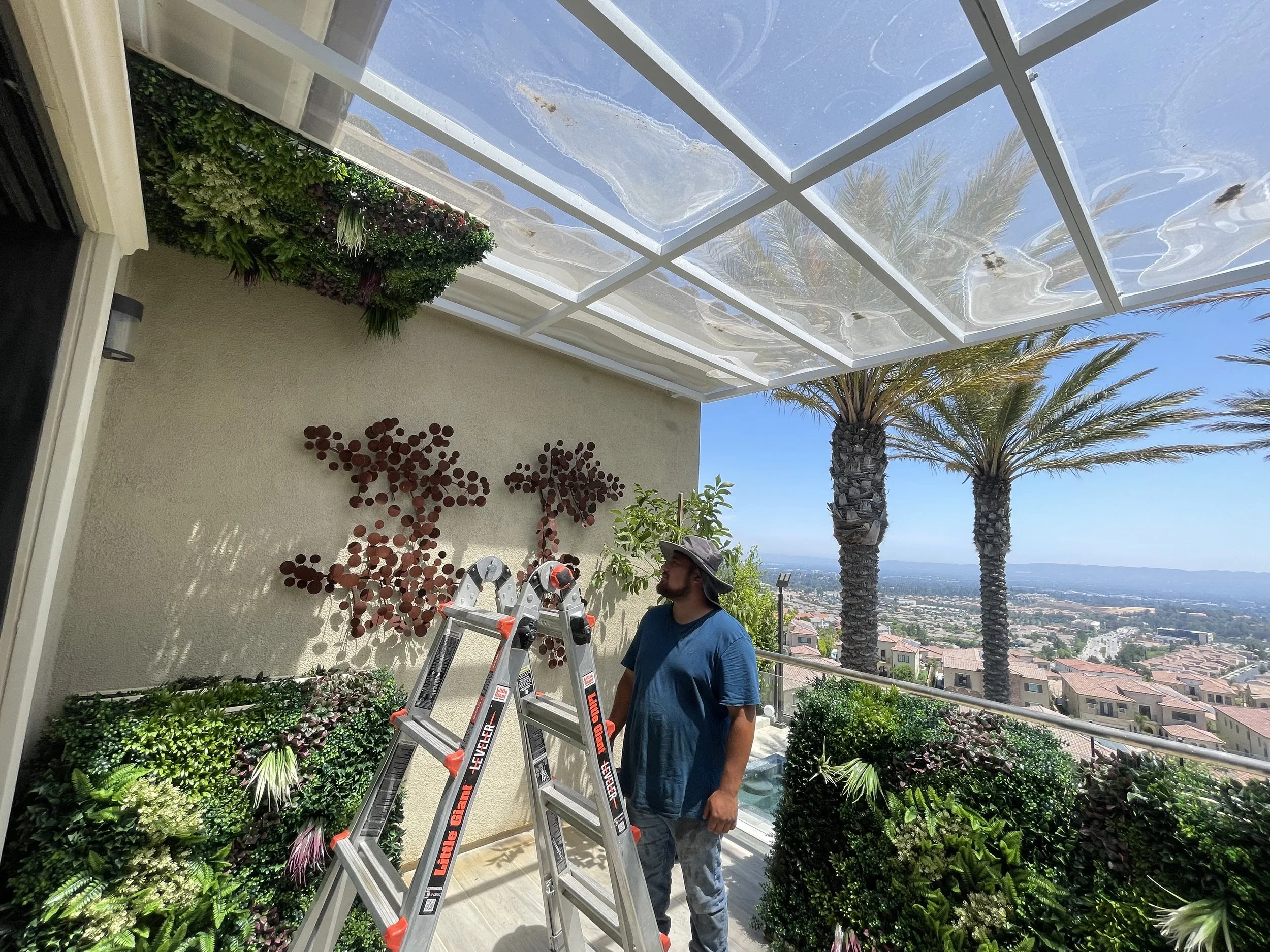 Man standing on a ladder surrounded by lush greenery and potted plants, with a view of palm trees and a cityscape in the background under a clear blue sky.
