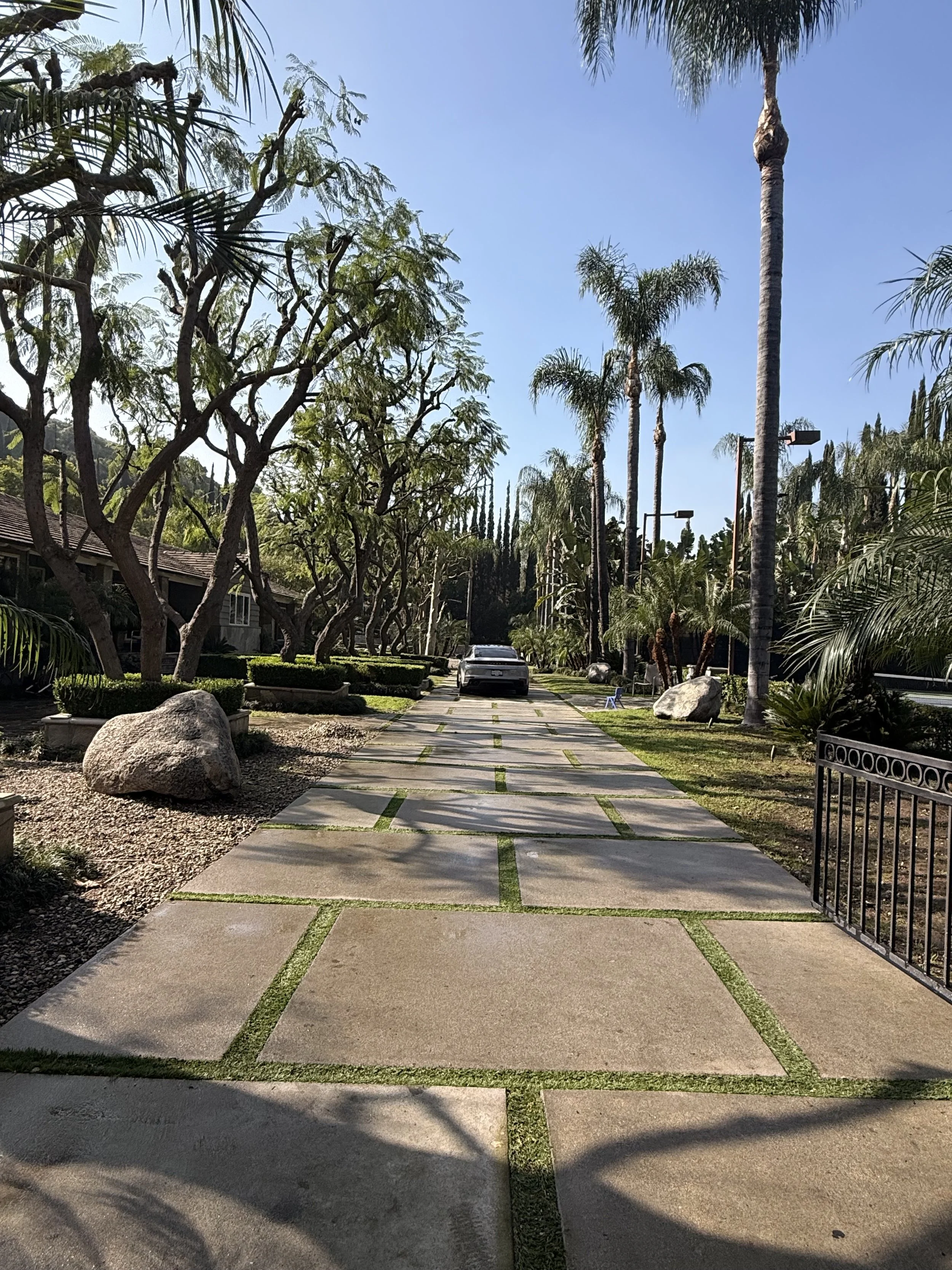 A sidewalk in a residential area lined with palm trees and other greenery, with a car parked in the distance under a clear blue sky.
