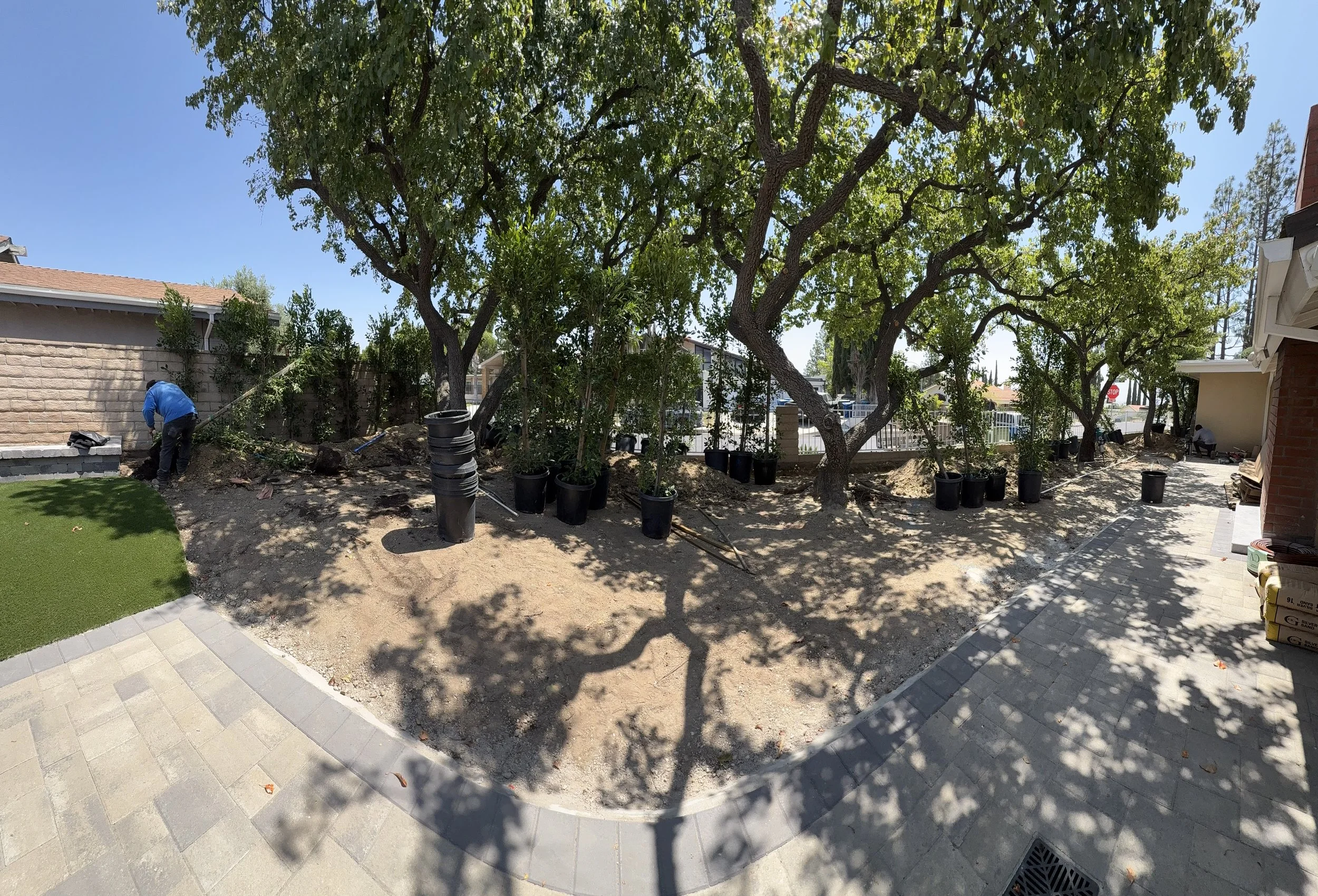 Yard undergoing landscaping with trees, potted plants, and workers planting and preparing the ground. Paved patio area visible in the foreground.