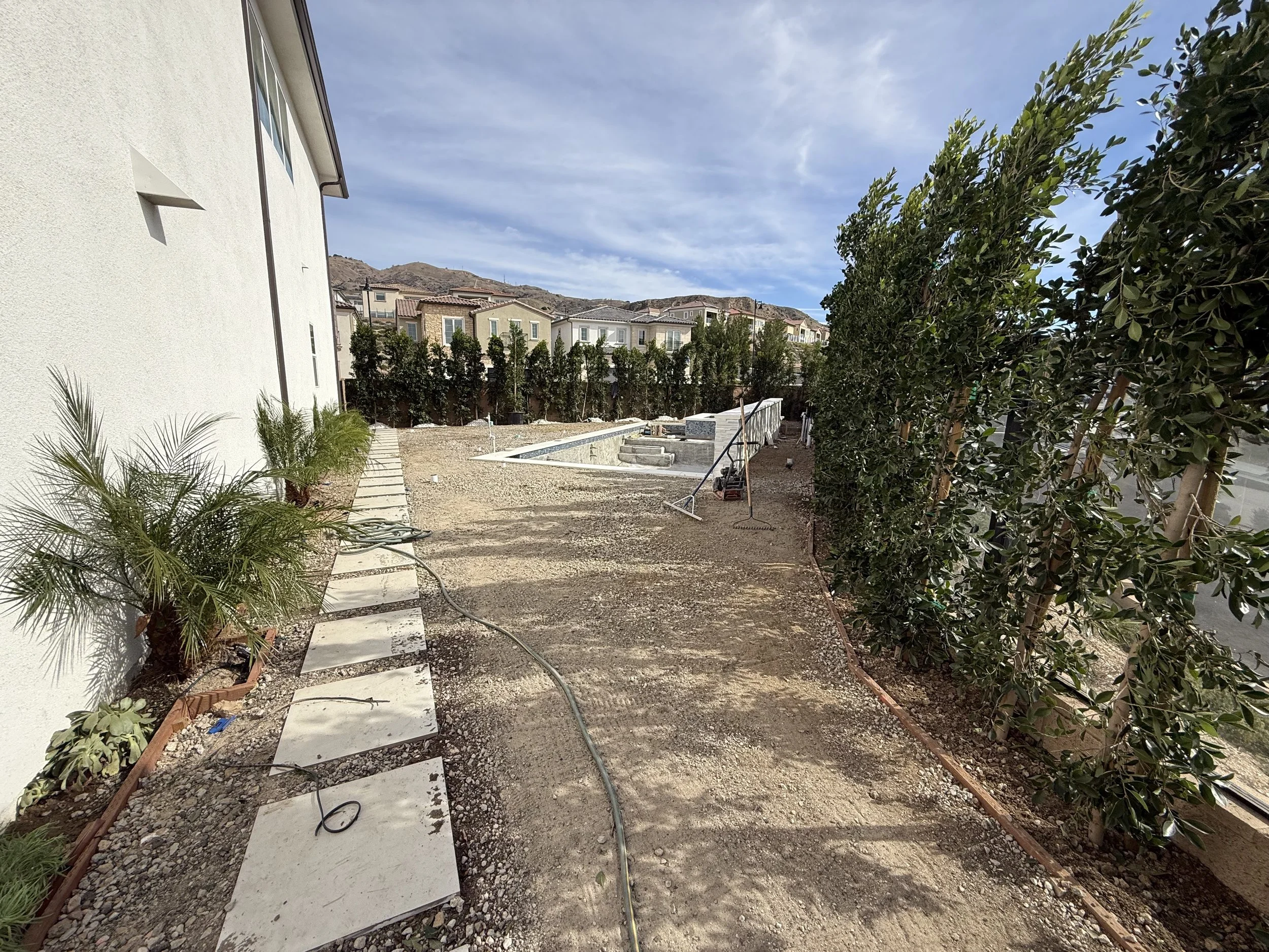 A backyard under construction with a concrete pathway, palm plants, a white house wall on the left, a row of trimmed tall trees in the background, and a mountain behind the row of houses.
