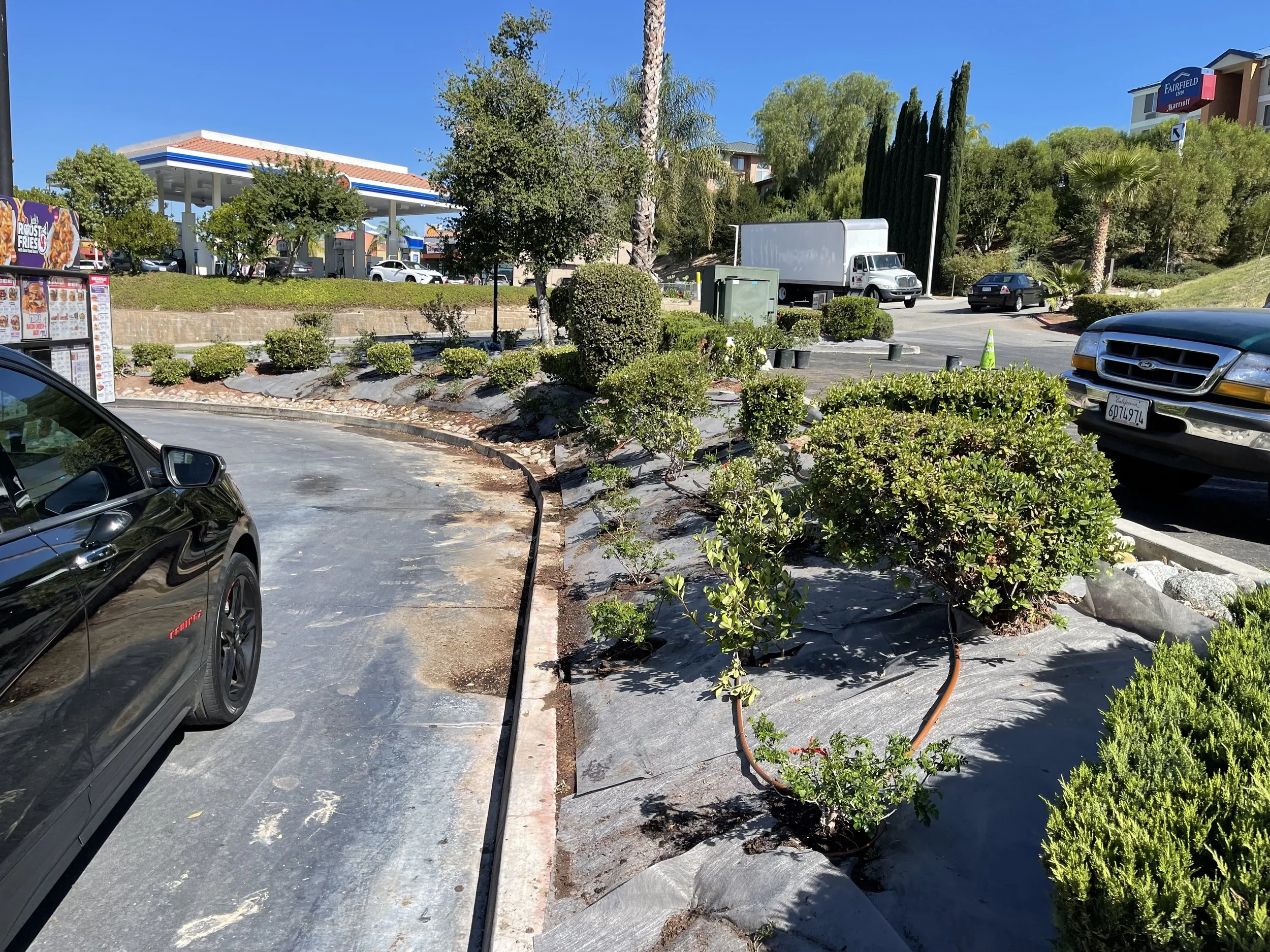 Parking lot with damaged pavement and young bushes, with a black car partially visible on the left, a delivery truck in the background, and a gas station on a sunny day.