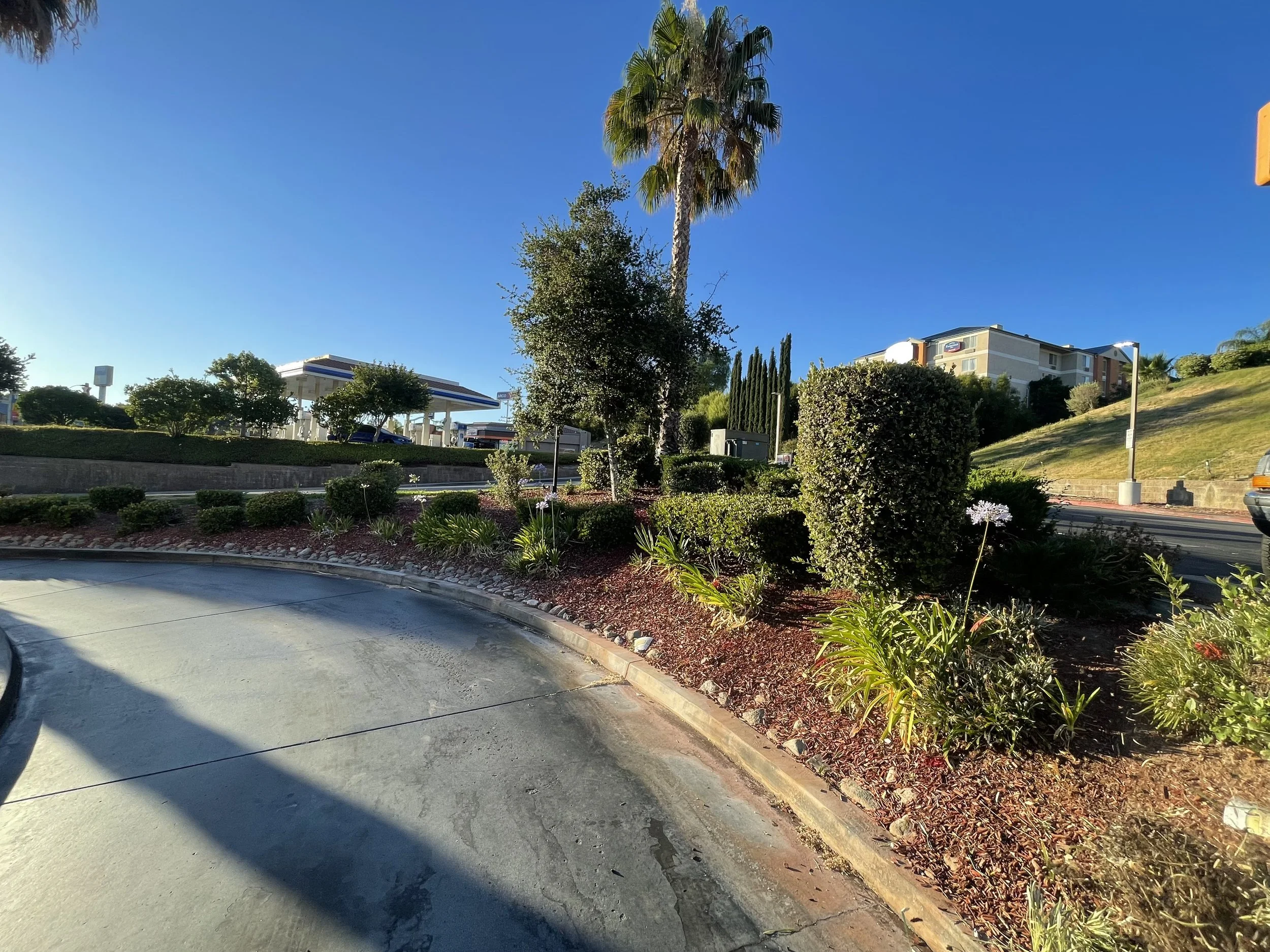A parking lot with landscaped bushes, a tall palm tree, and a surrounding residential or hotel building under a clear blue sky.