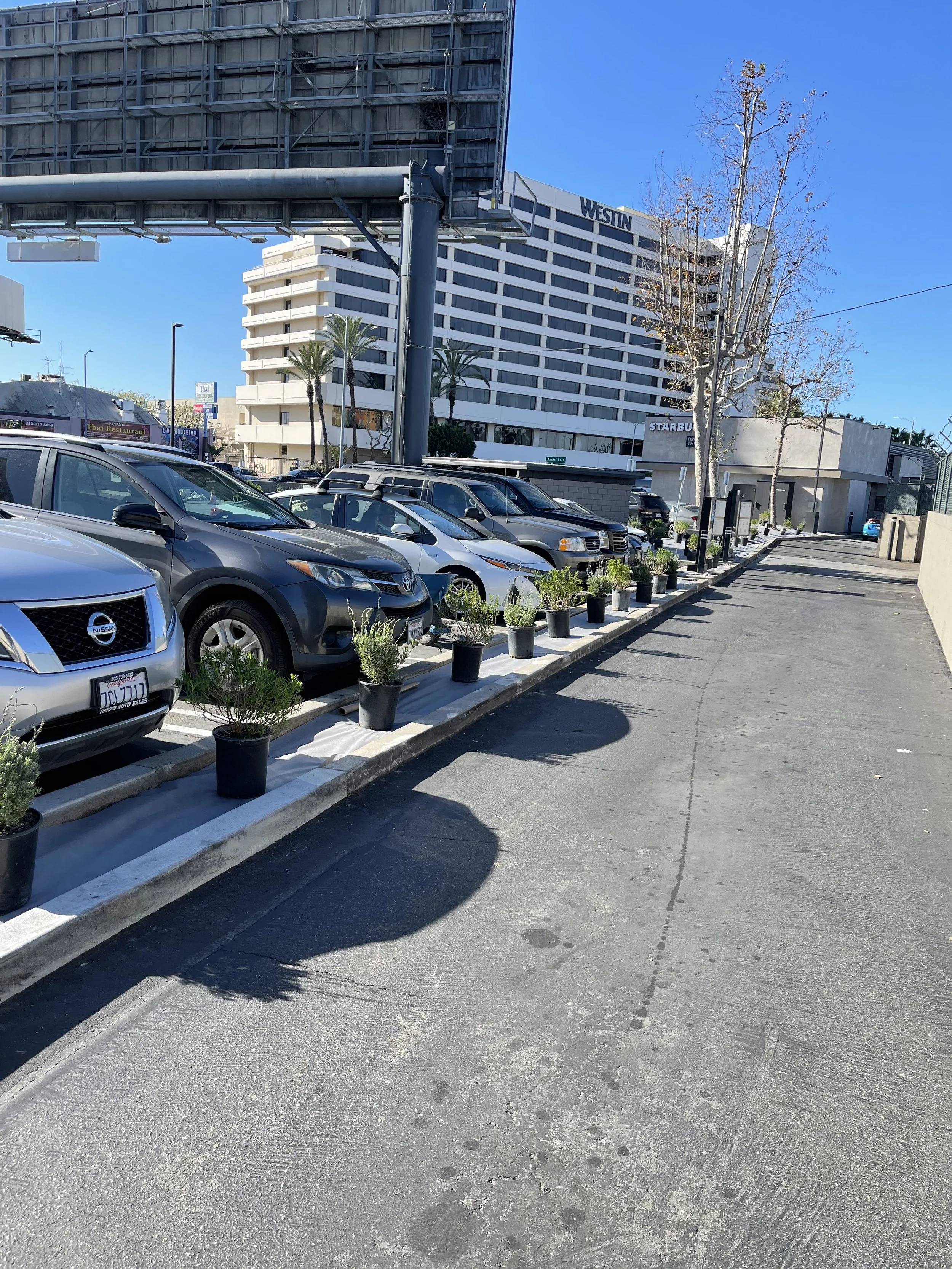 A parking lot with several parked cars and potted plants lining the edge. In the background, there is a tall white modern building with balconies, a sign for Westin, a Starbucks, and a few trees with some leaves. The sky is clear and blue.