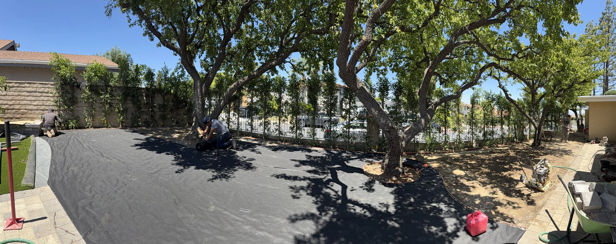 People working outdoors on landscaping or construction, with trees providing shade, in a backyard surrounded by a fence and buildings.